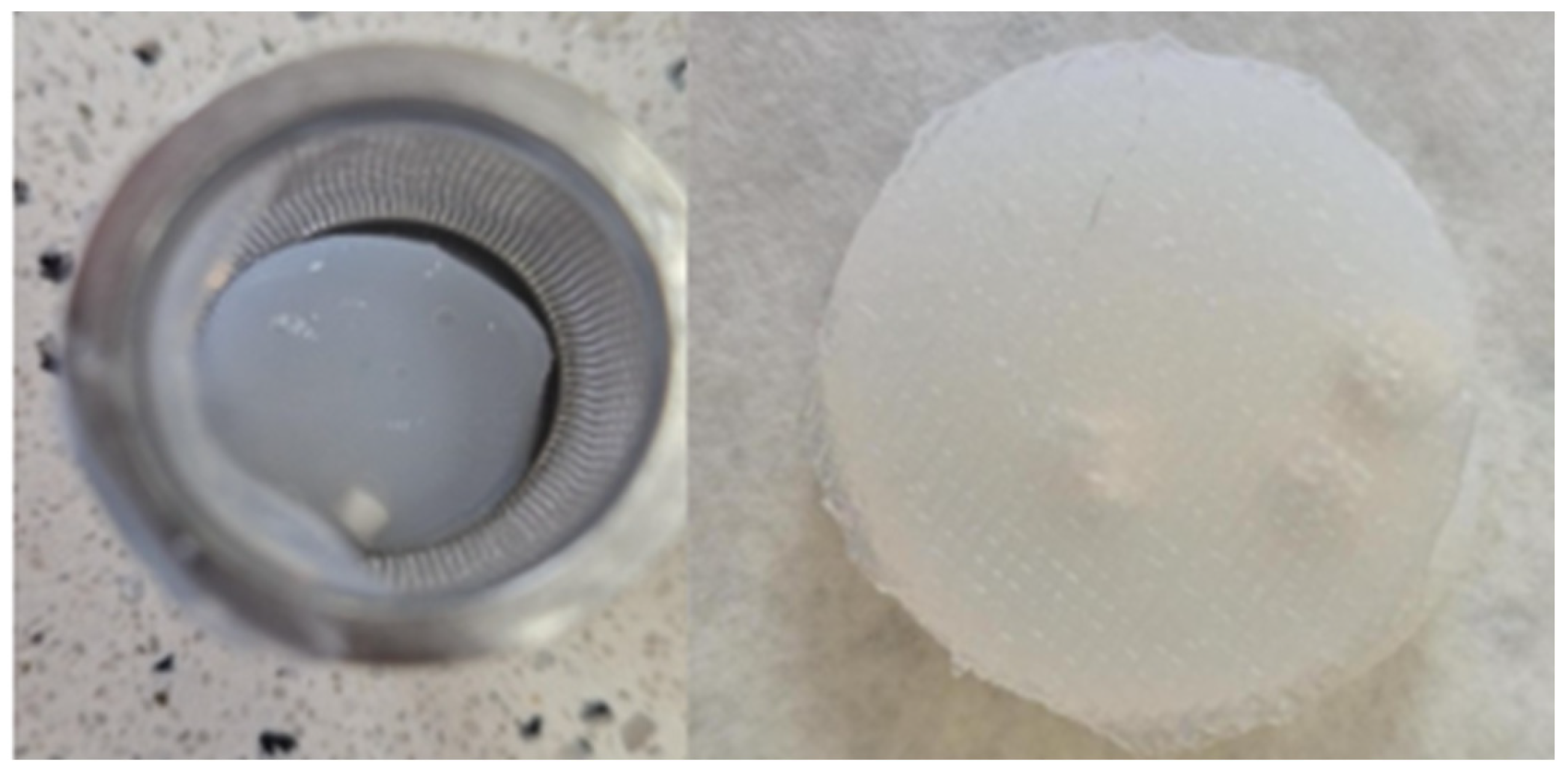 Gels 12 00526 g005
