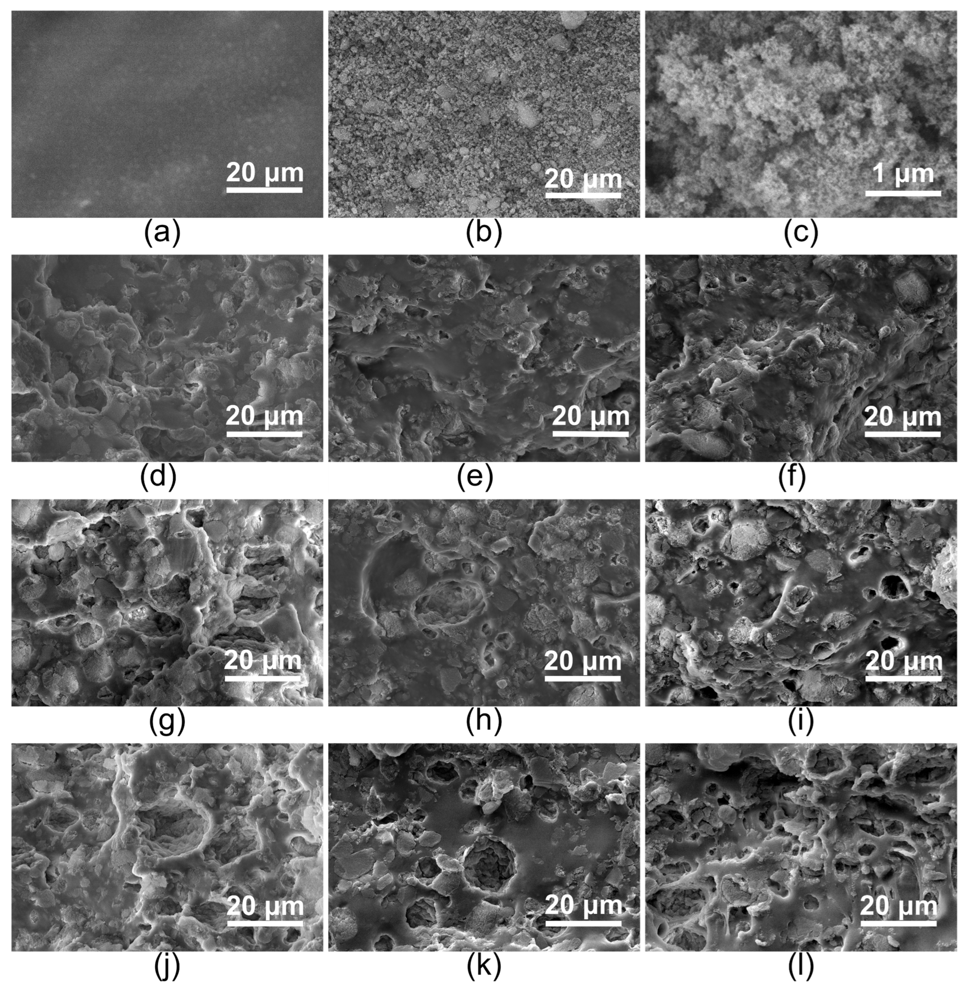 Gels 12 00599 g004