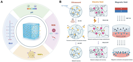 Programming Hydrogel Release Kinetics to Tissue Healing Phases