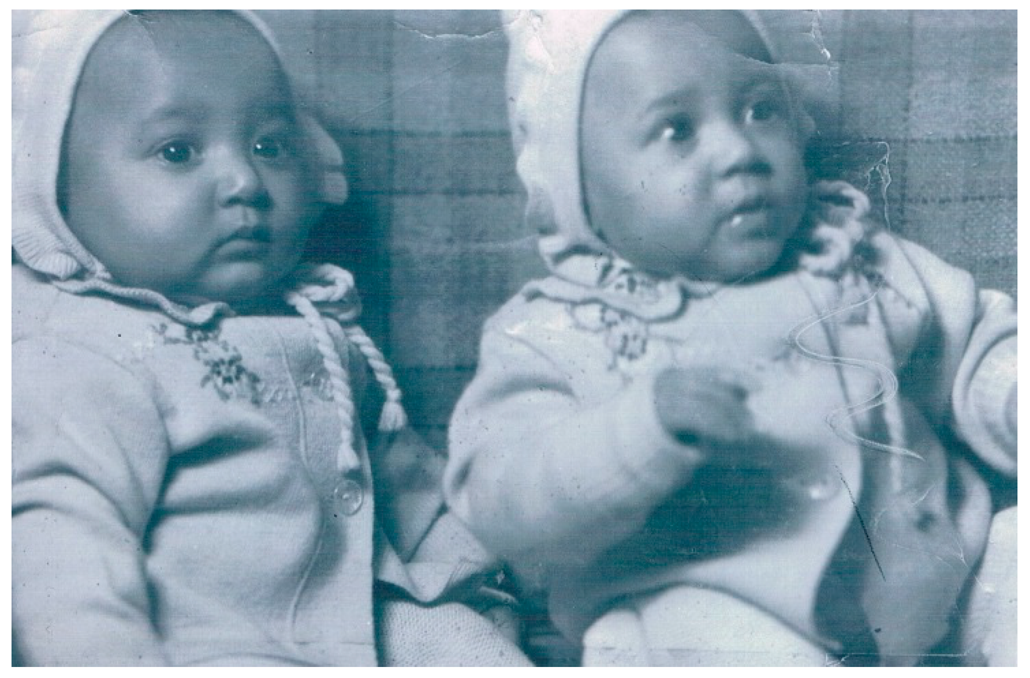 Genealogy 01 00011 g006
