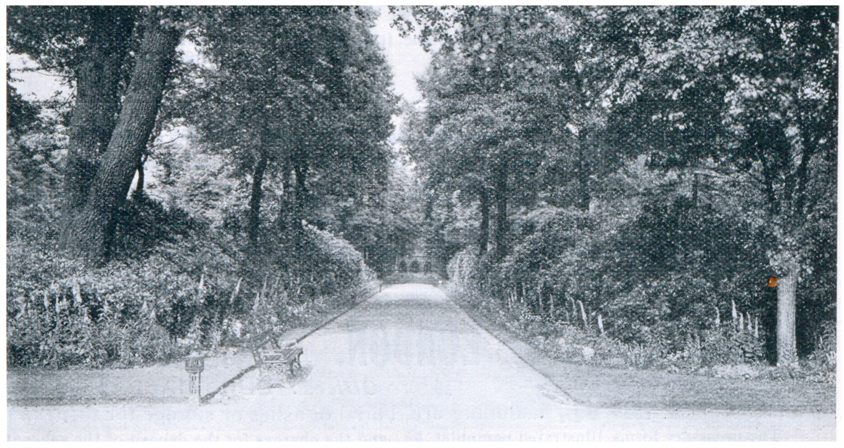 Genealogy 02 00031 g003