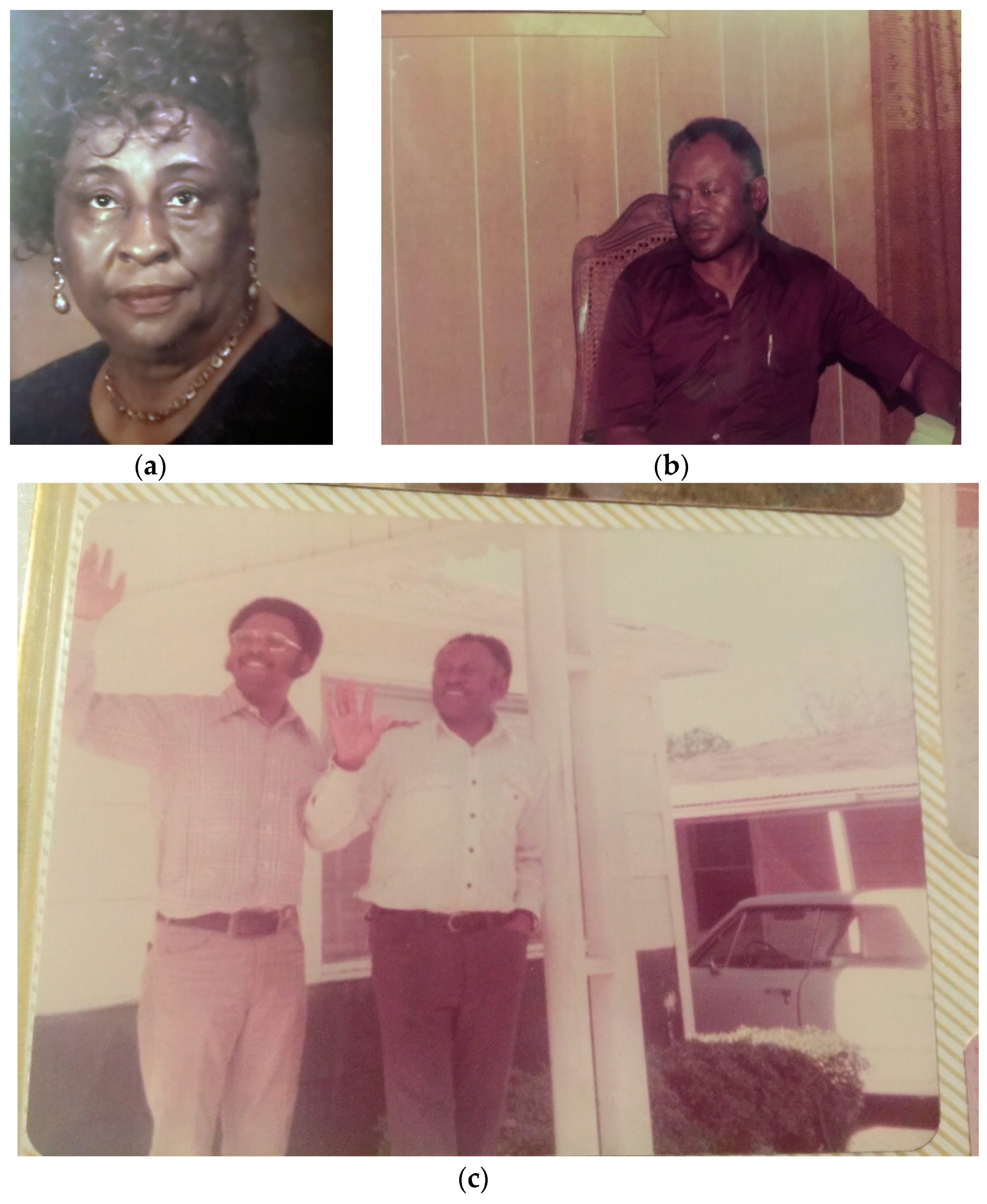 Genealogy 04 00033 g009 550