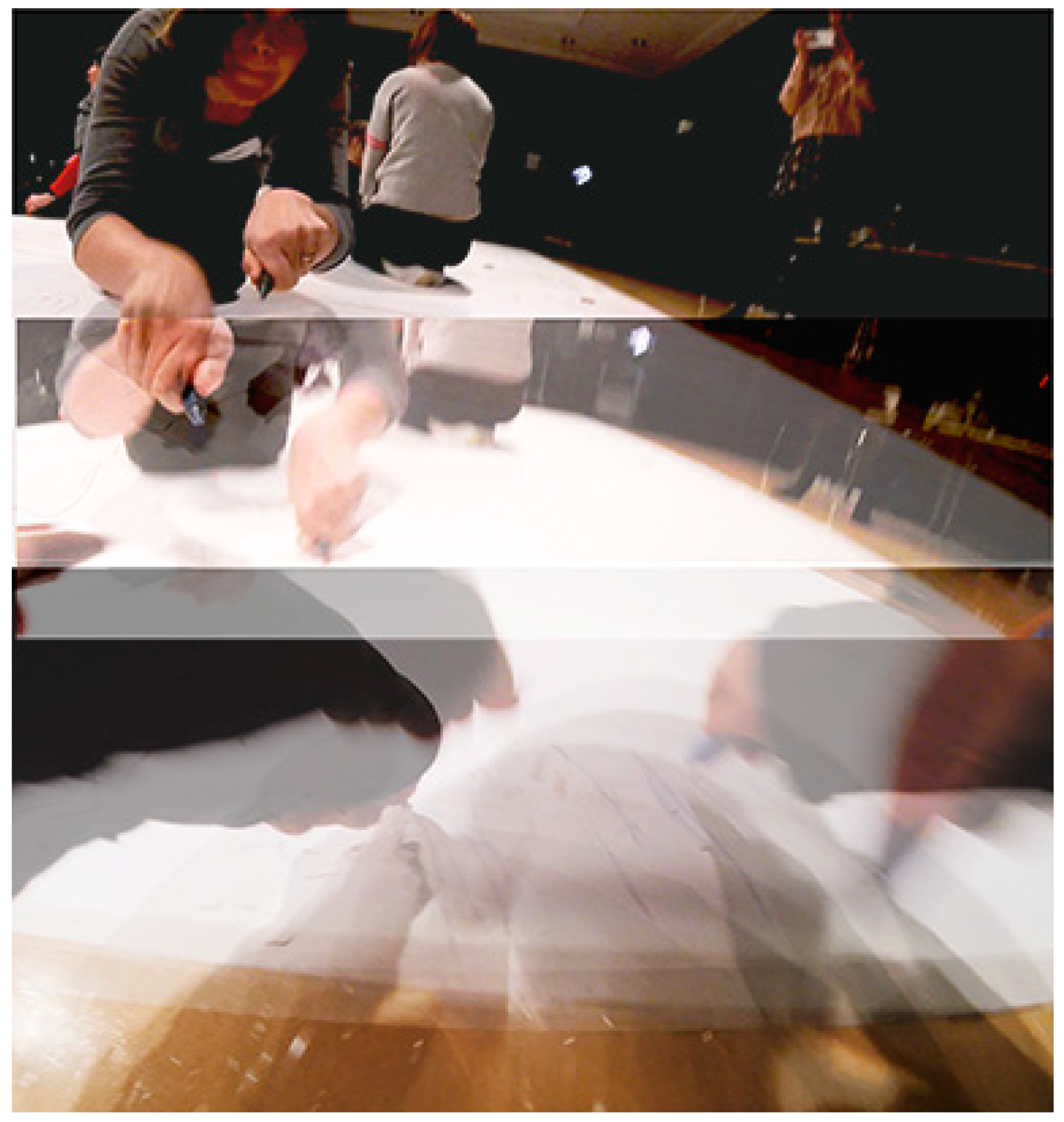 Genealogy 04 00034 g006