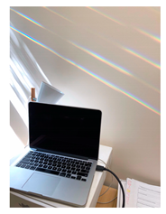 Genealogy 04 00042 i001 Genealogy 04 00042 i001