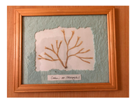 Genealogy 04 00042 i003 Genealogy 04 00042 i003