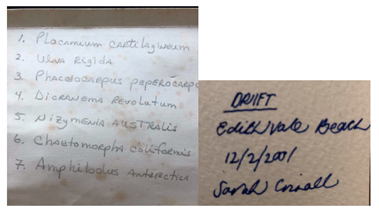 Genealogy 04 00042 i013 Genealogy 04 00042 i013