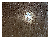 Genealogy 04 00042 i014 Genealogy 04 00042 i014