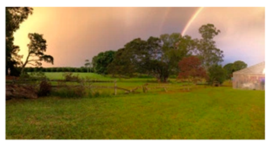 Genealogy 04 00042 i015 Genealogy 04 00042 i015