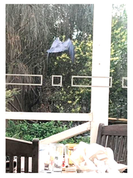 Genealogy 04 00042 i017 Genealogy 04 00042 i017