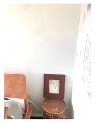 Genealogy 04 00042 i021 Genealogy 04 00042 i021