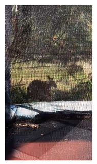 Genealogy 04 00042 i022 Genealogy 04 00042 i022