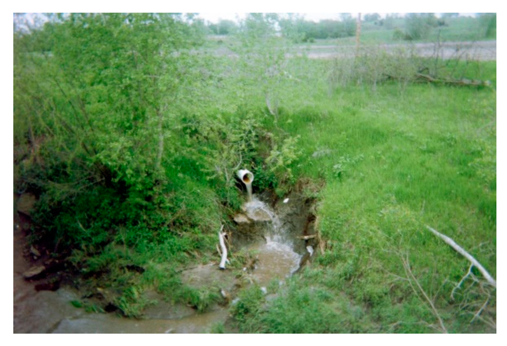 Genealogy 04 00051 g001 Genealogy 04 00051 g001