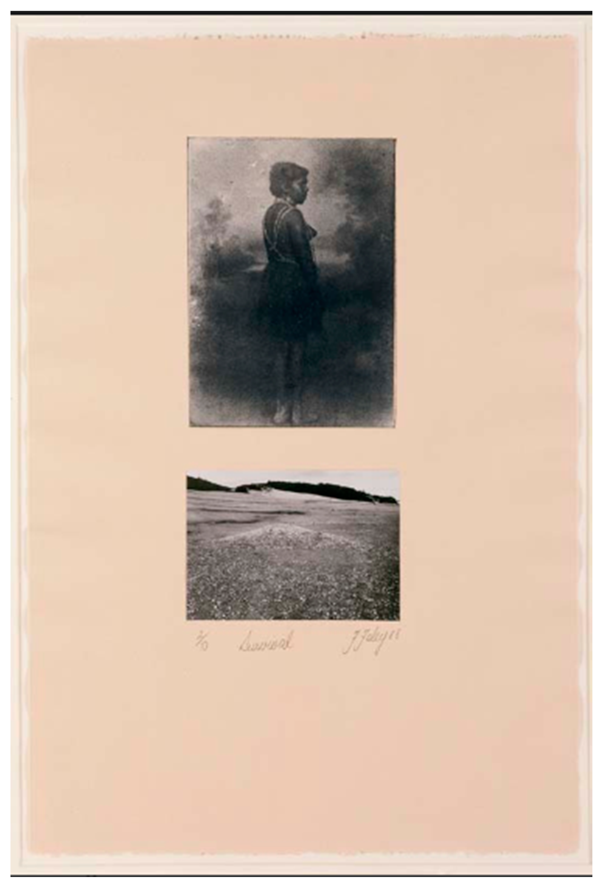 Genealogy 04 00076 g001 550