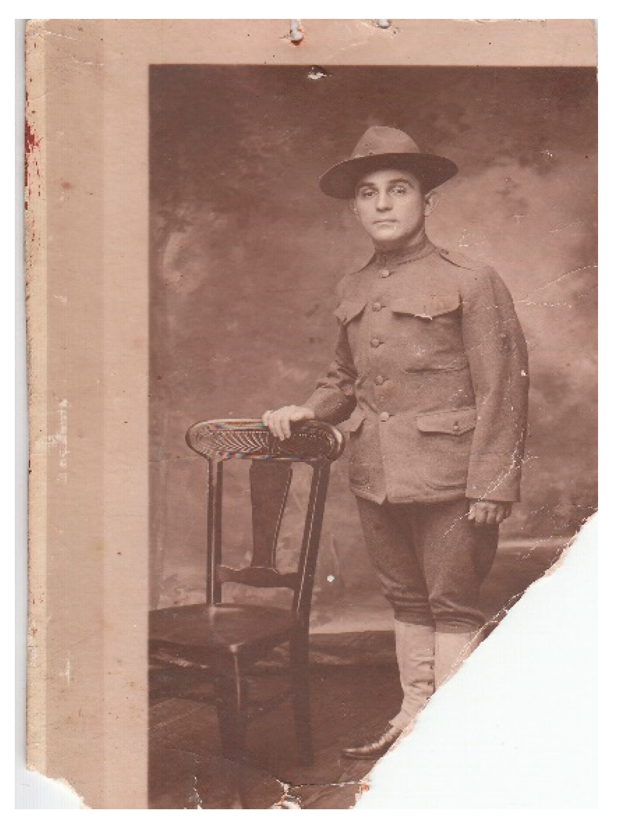 Genealogy 04 00090 g002