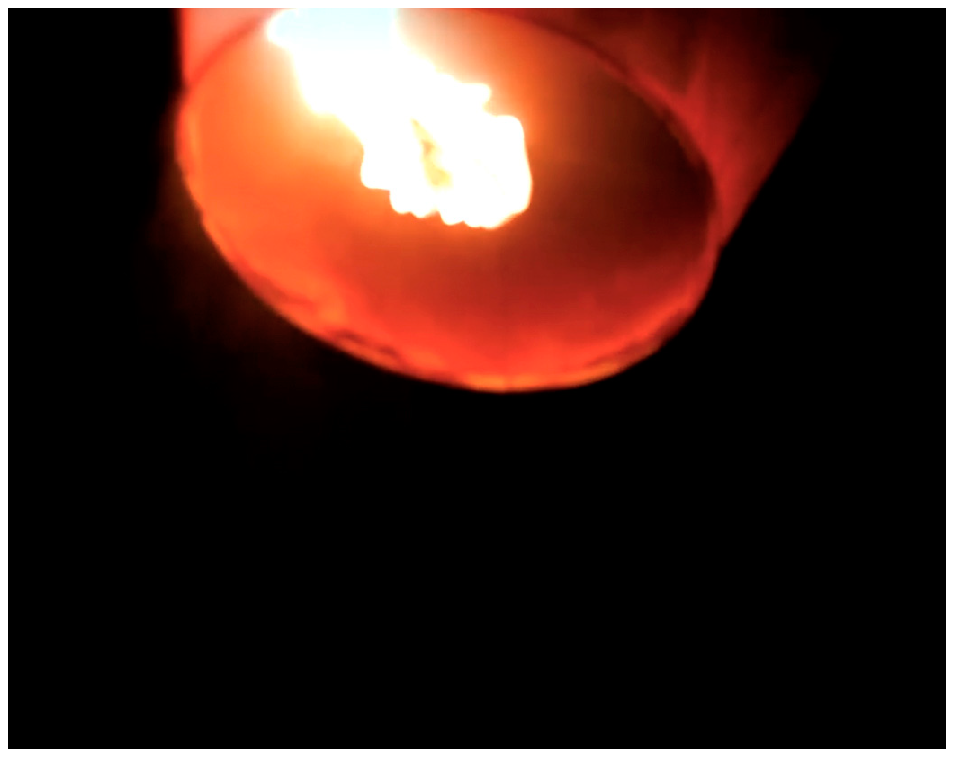 Genealogy 04 00092 g009 550