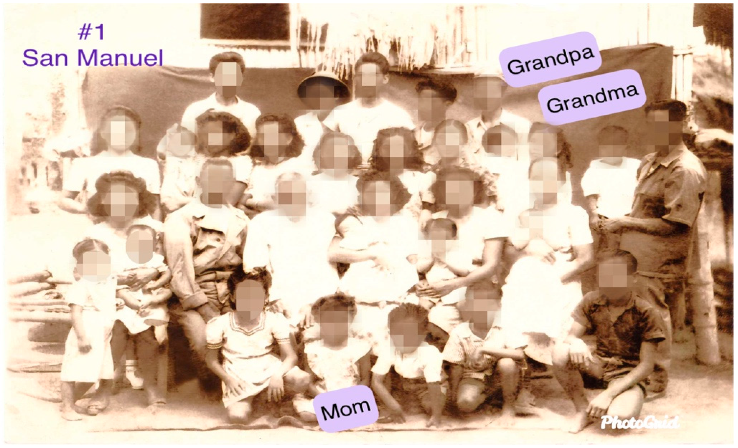 Genealogy 04 00111 g005