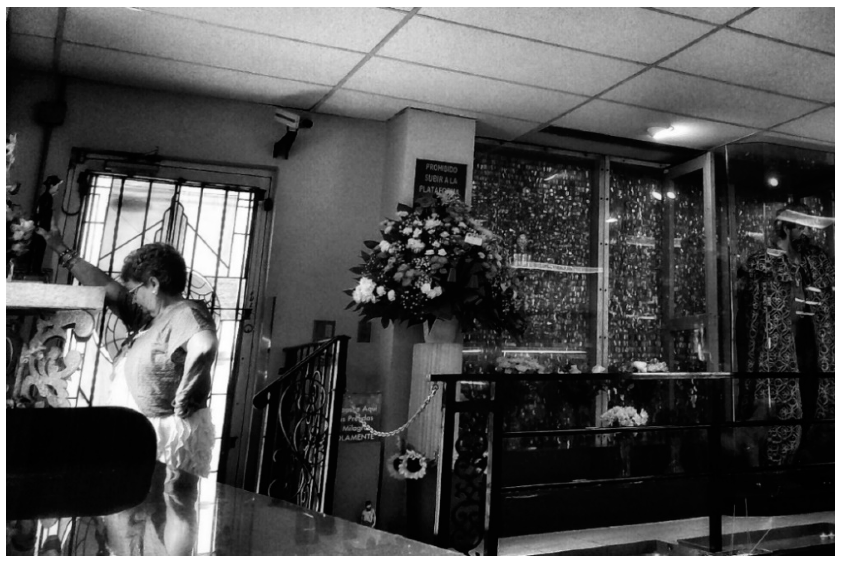 Genealogy 05 00018 g011 550