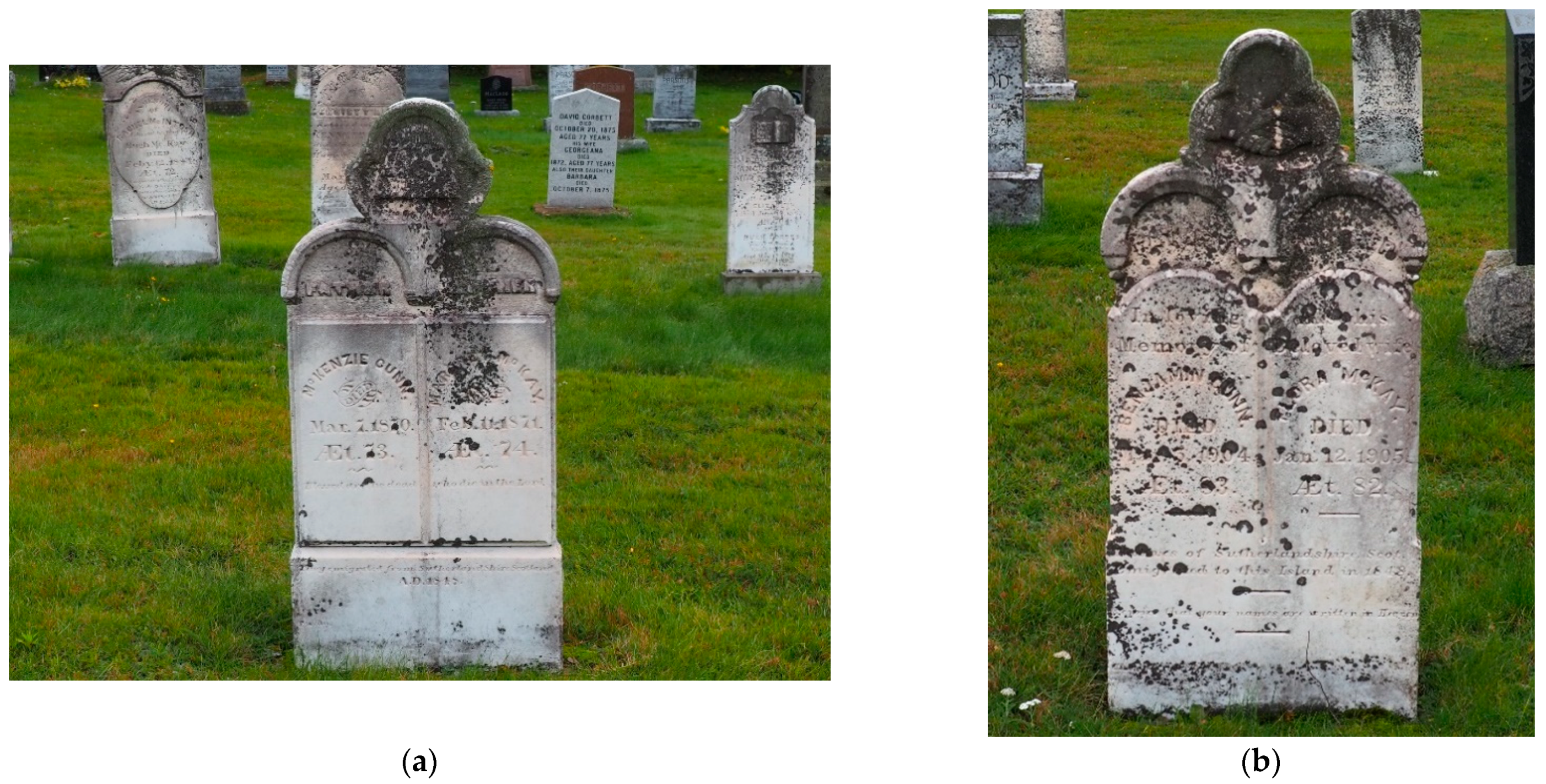 Genealogy 05 00035 g003