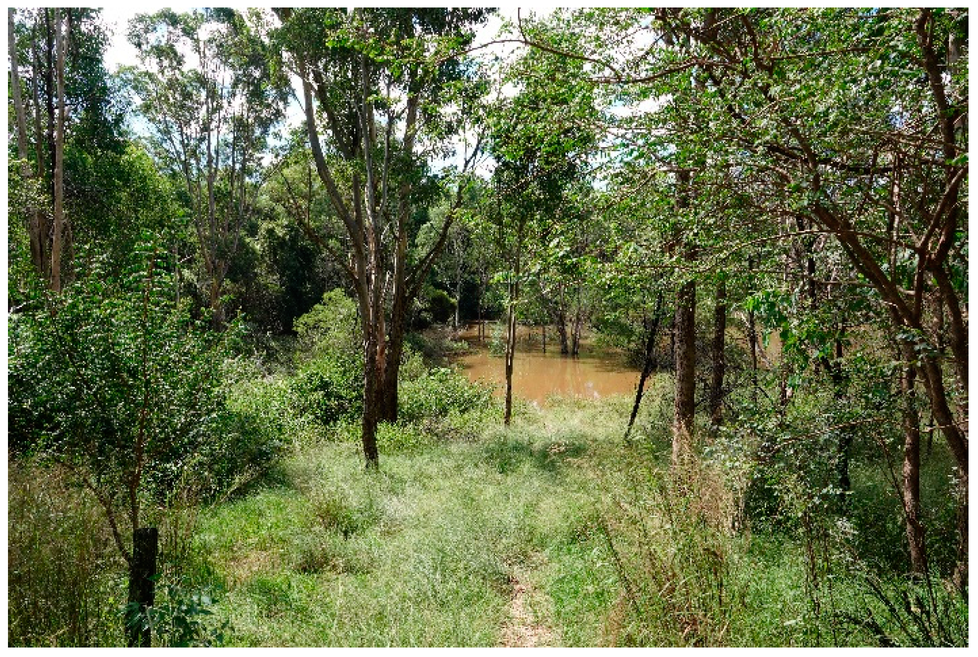 Genealogy 05 00048 g001 550