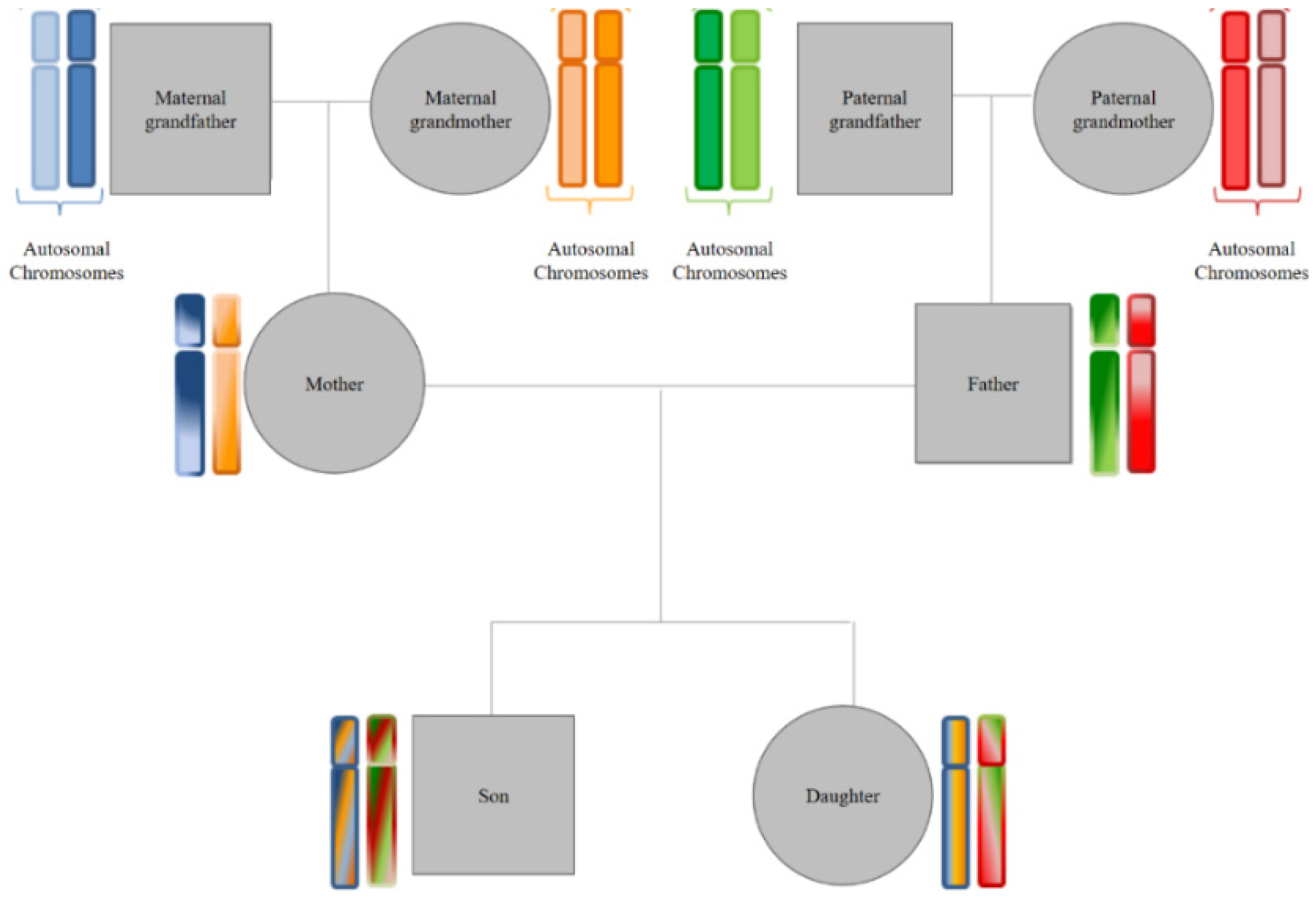 Genealogy 05 00098 g001