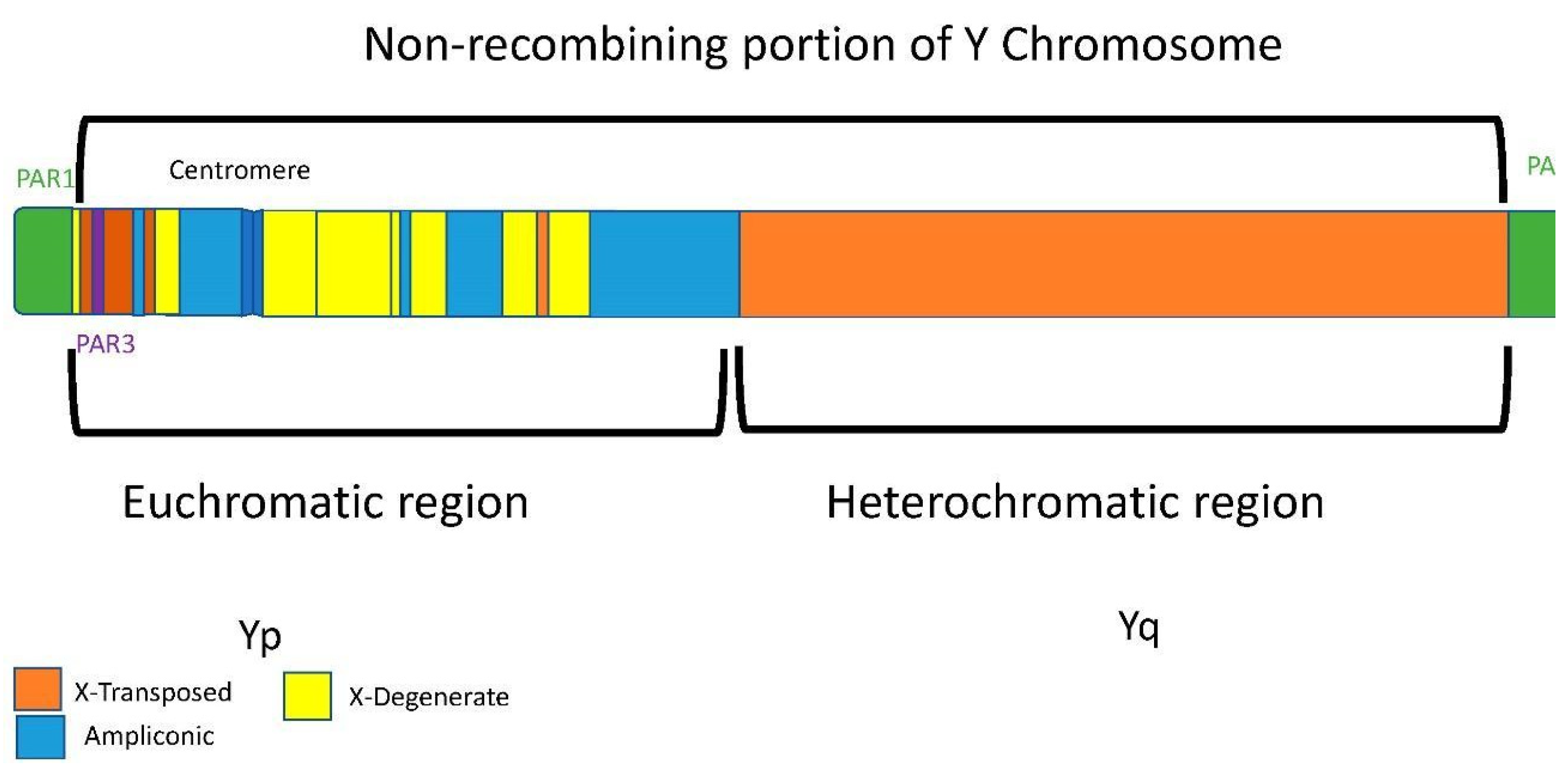 Genealogy 05 00098 g003