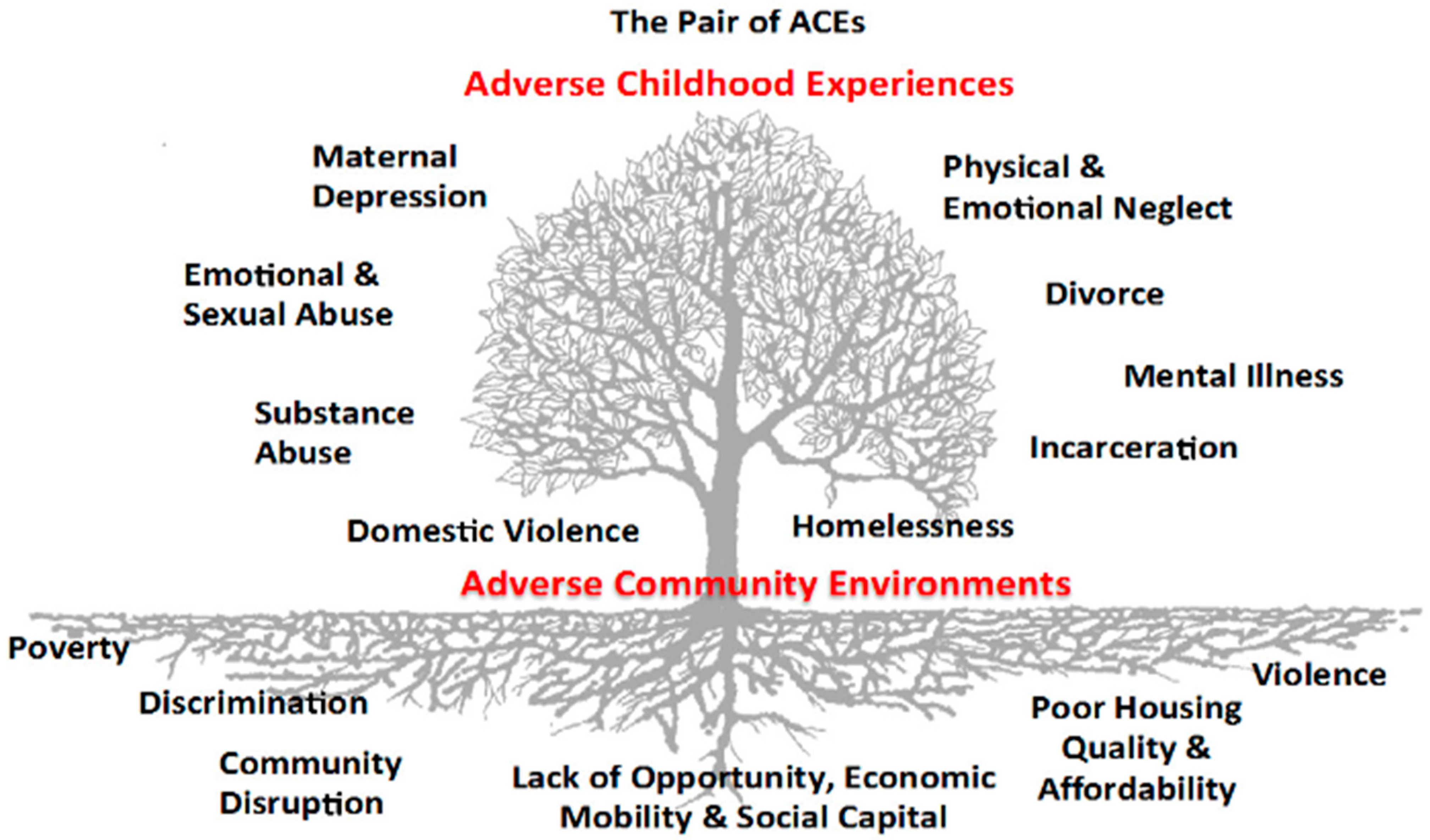Genealogy 06 00001 g002 550