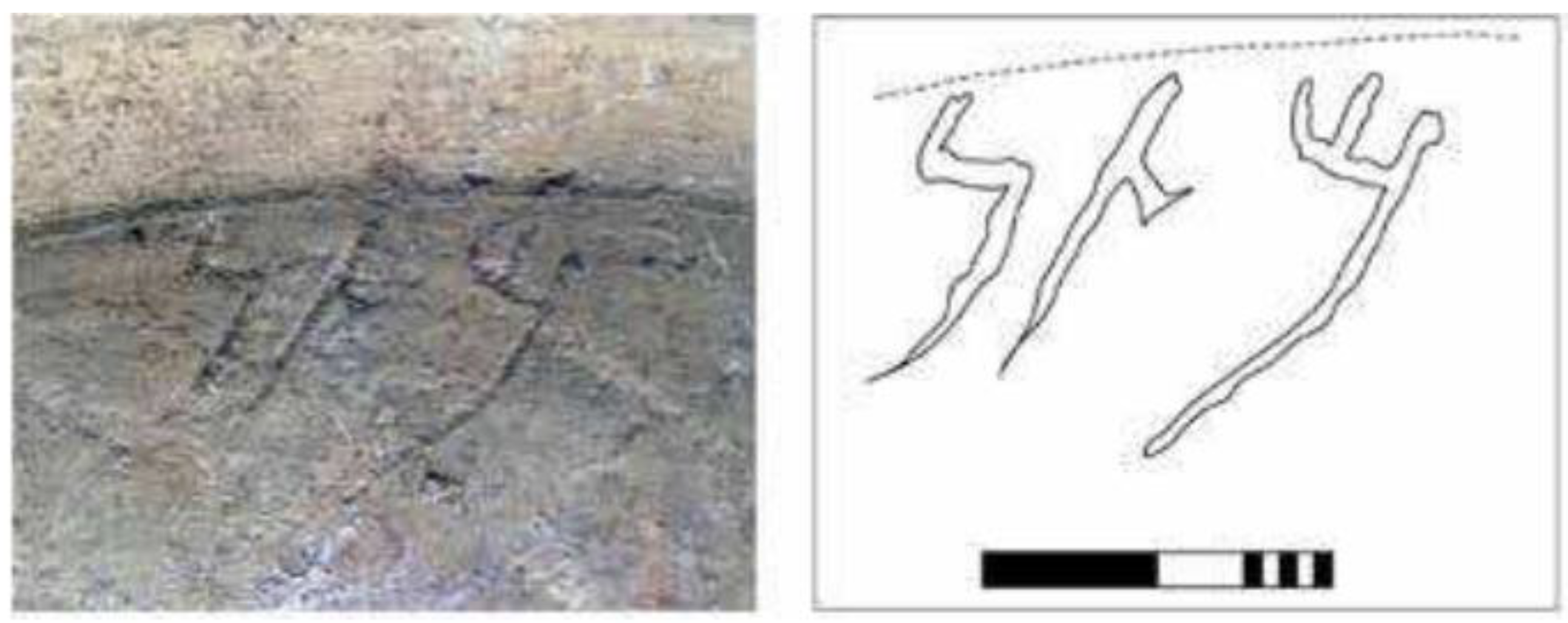 Genealogy 07 00027 g004b Genealogy 07 00027 g004b