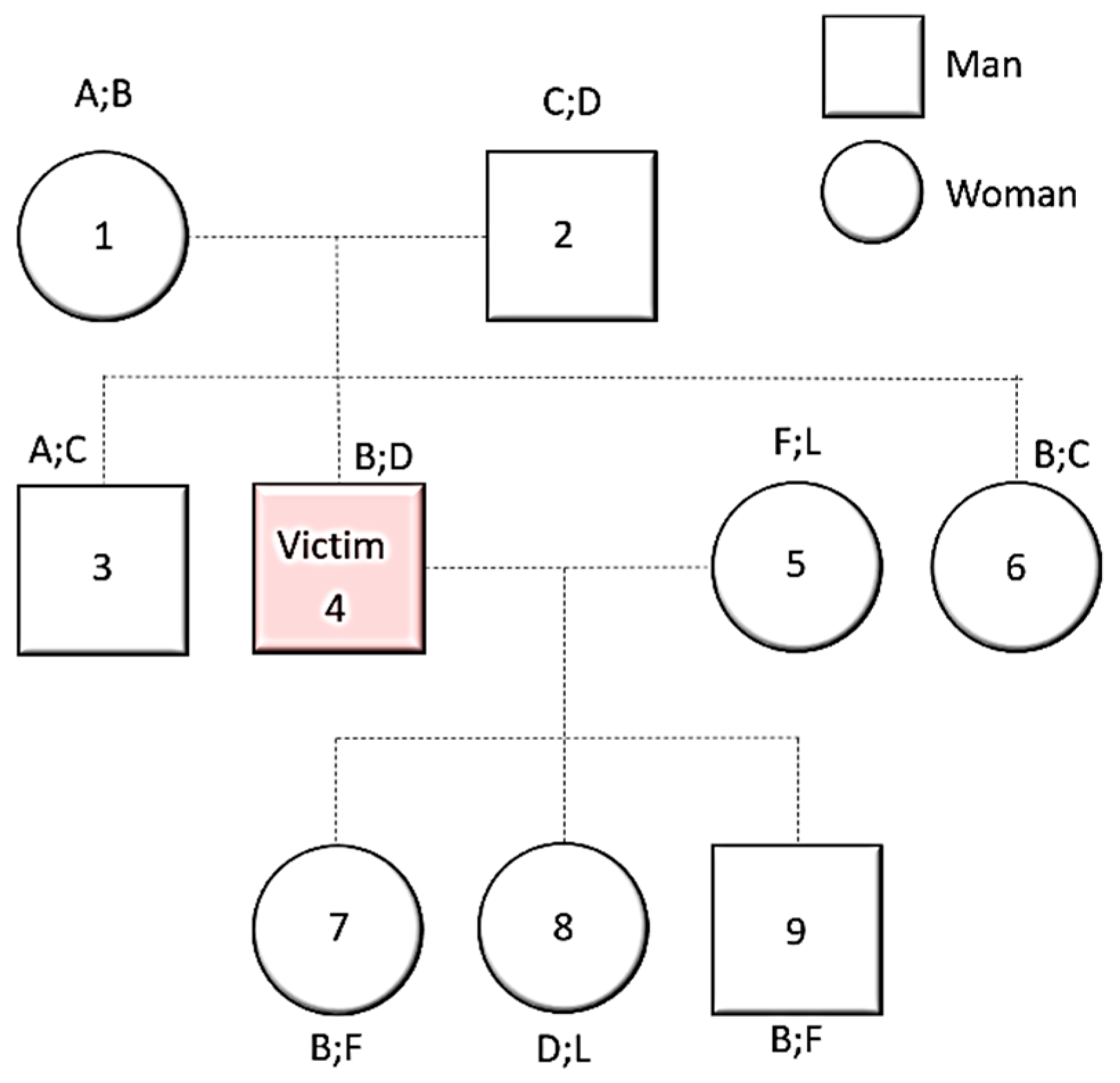 Ancestry blocks for canine chromosome 6. Each horizontal band is an