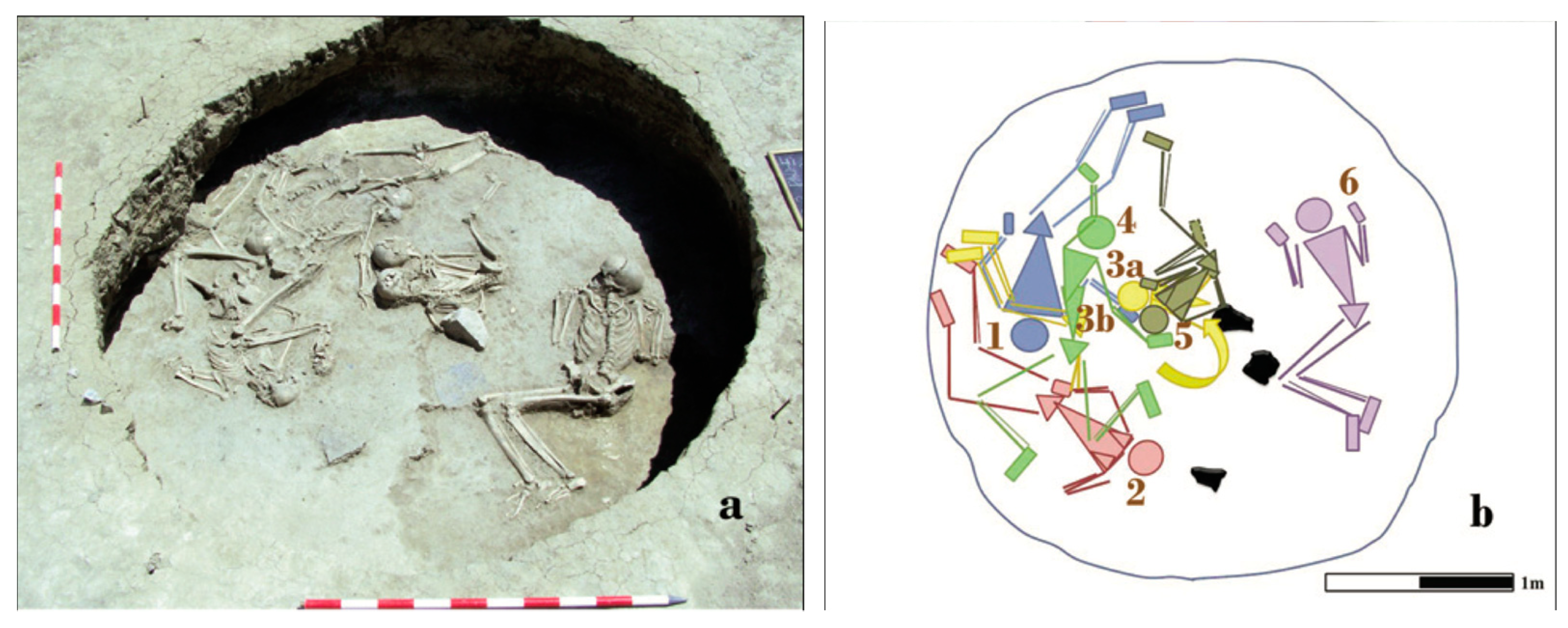 Genealogy 07 00038 g001