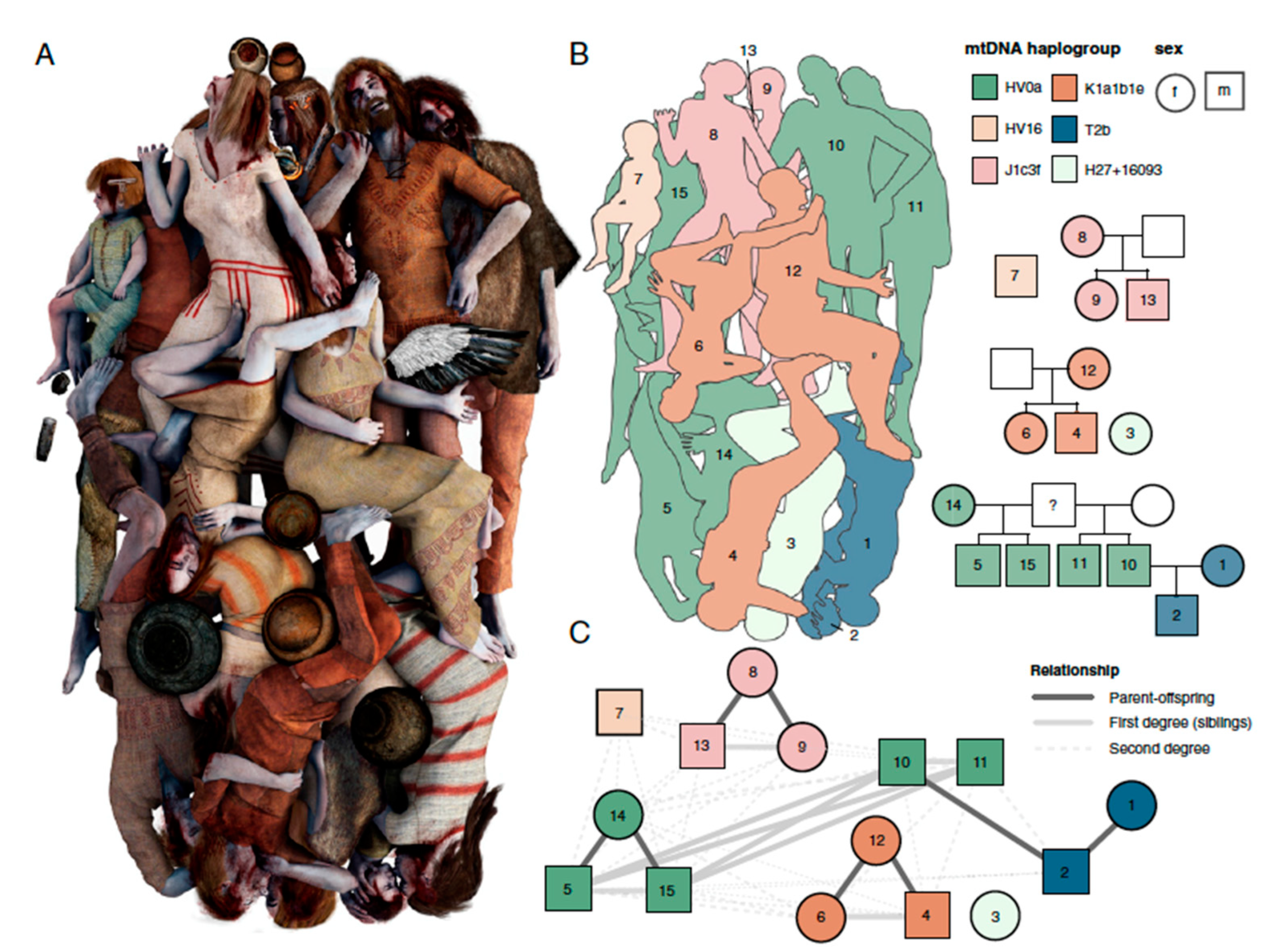 Genealogy 07 00038 g003