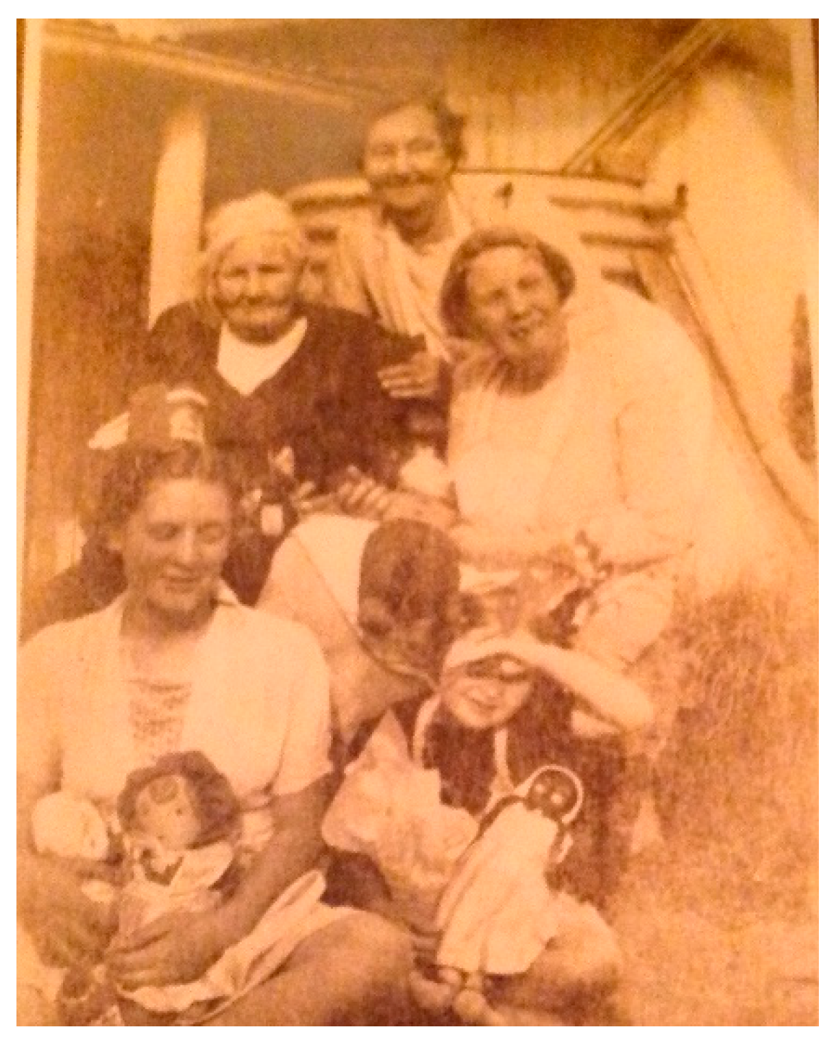 Genealogy 07 00041 g001