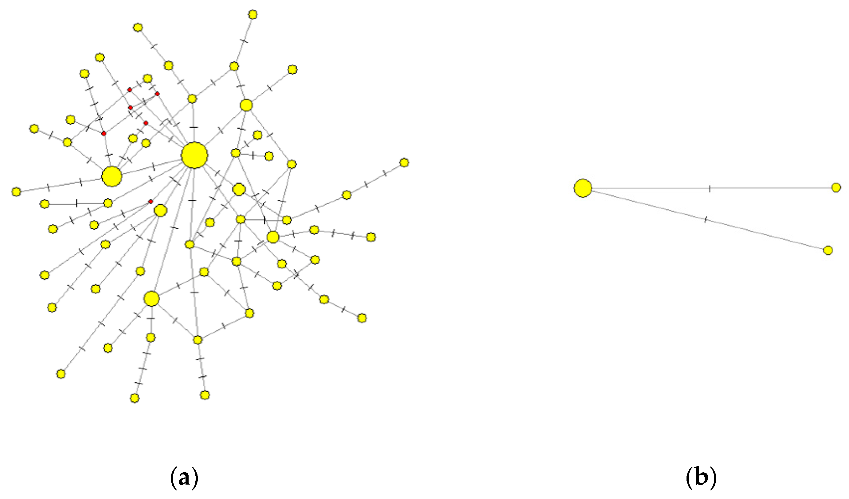 Genealogy 07 00052 g005