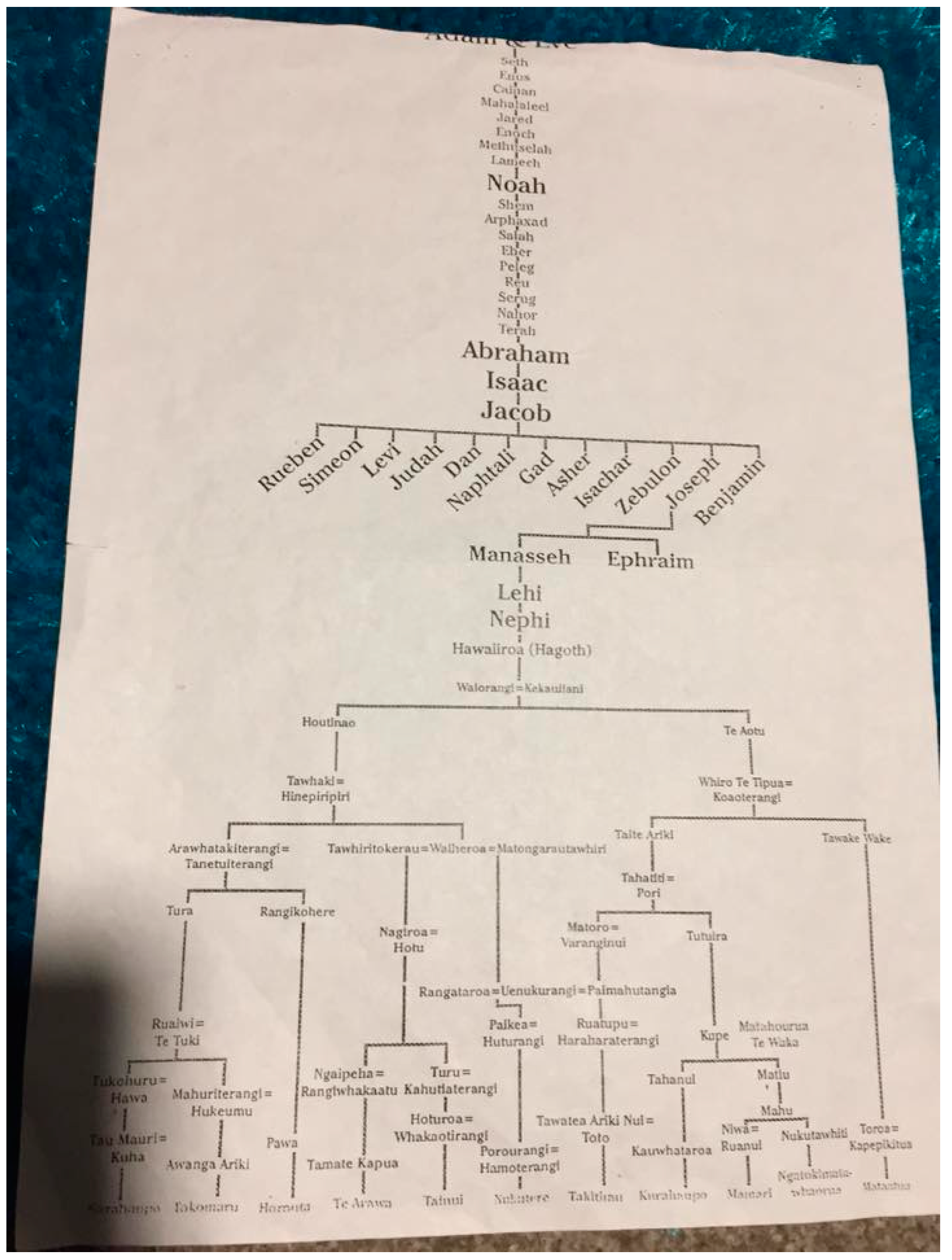 Genealogy 08 00012 g001