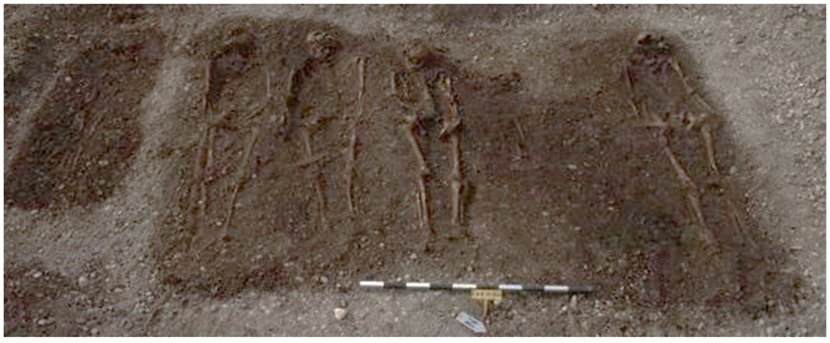 Genealogy 08 00020 g002 Genealogy 08 00020 g002