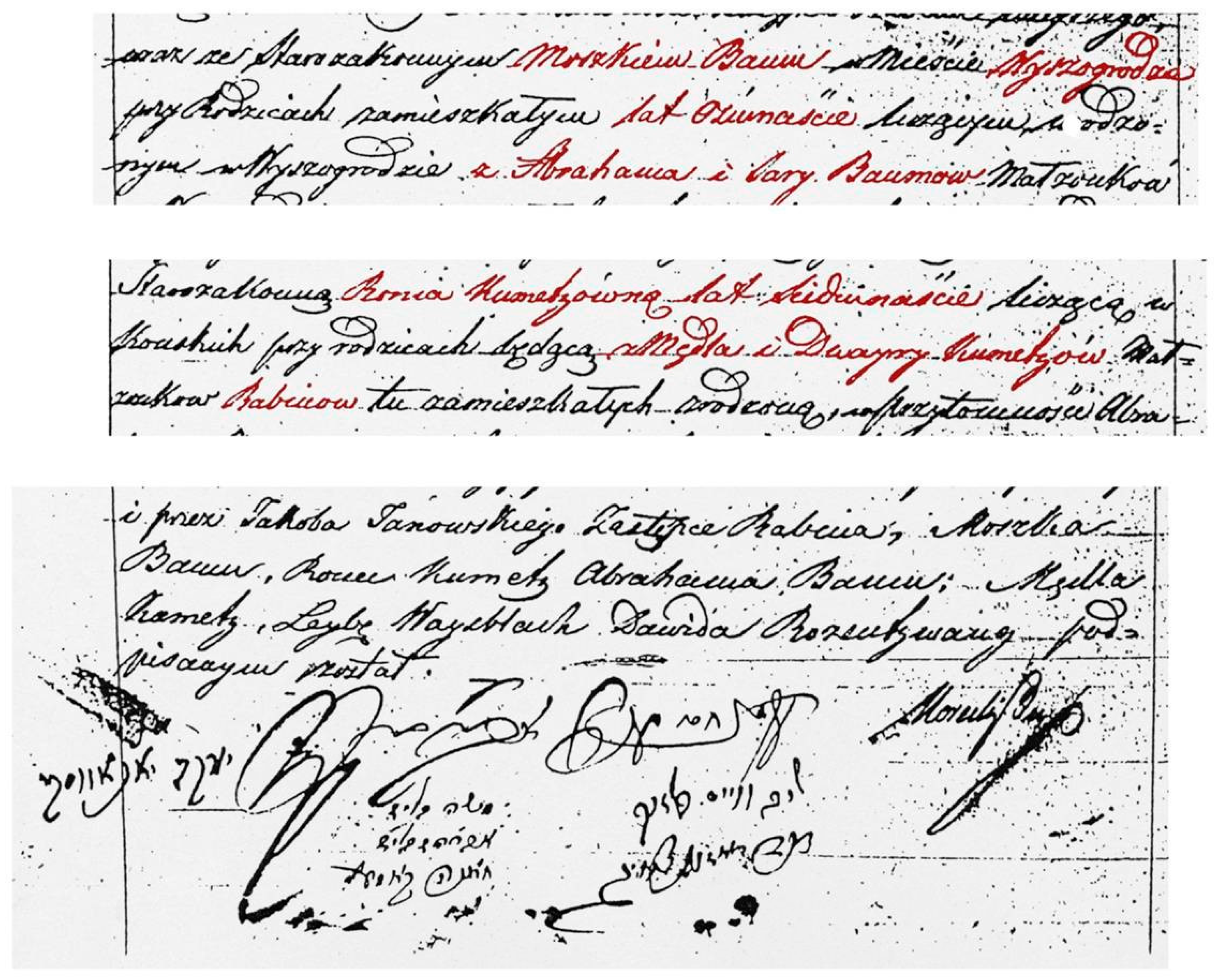 Genealogy 08 00035 g002