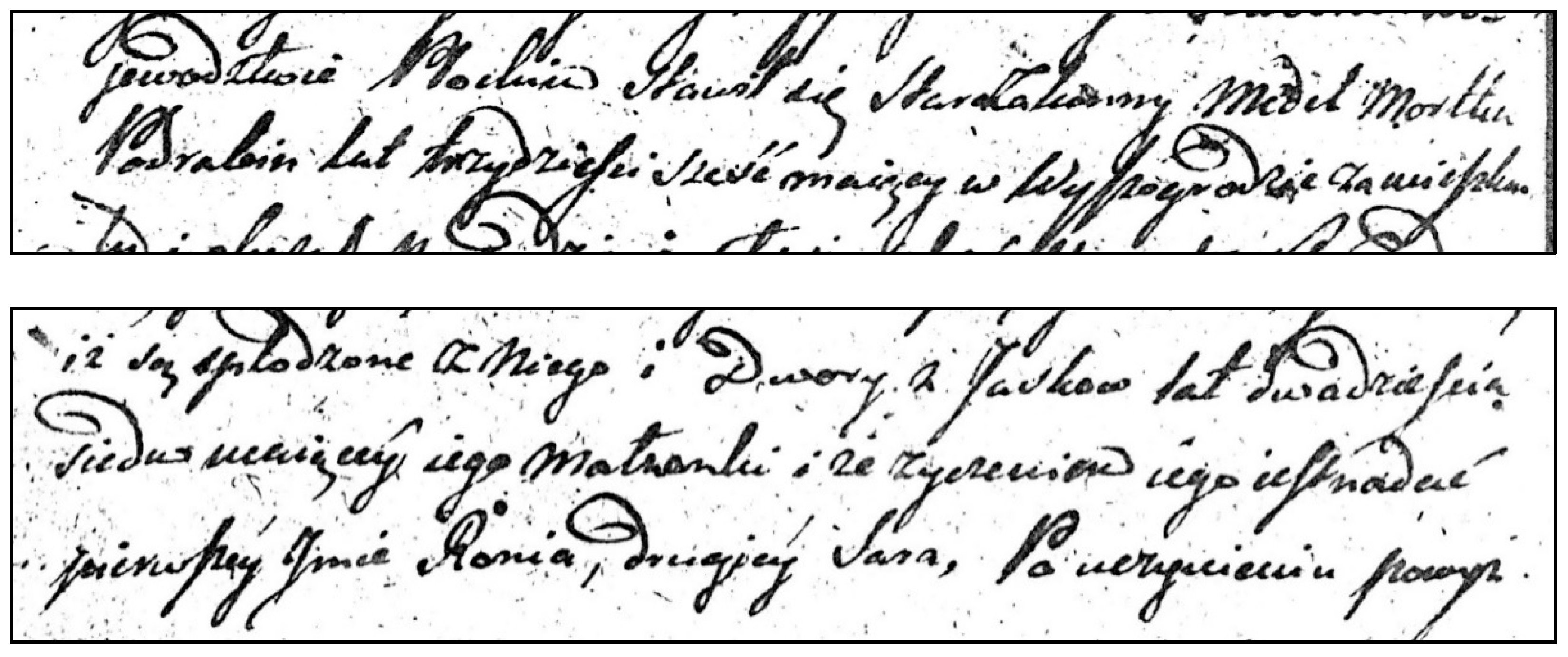 Genealogy 08 00035 g003