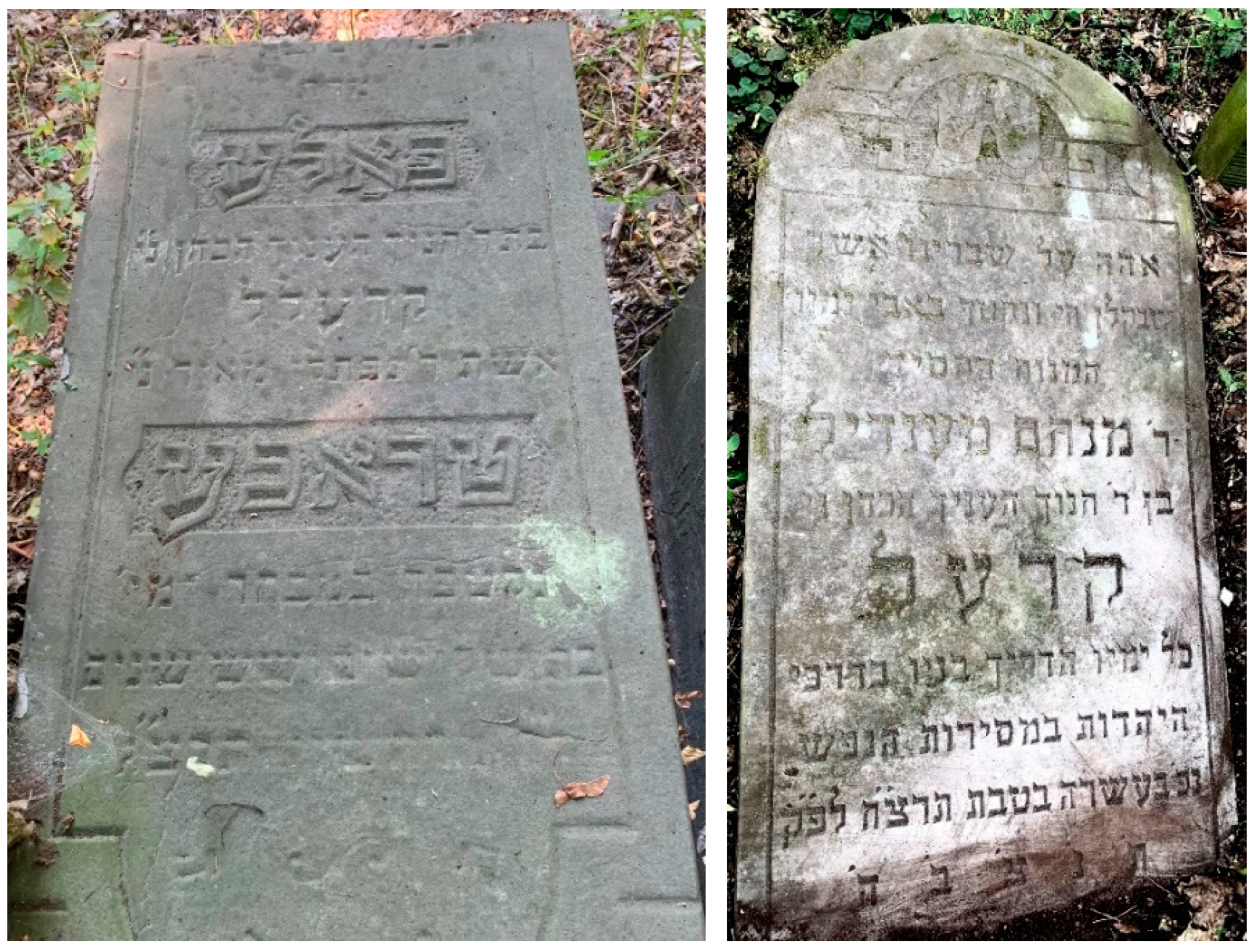 Genealogy 08 00035 g012