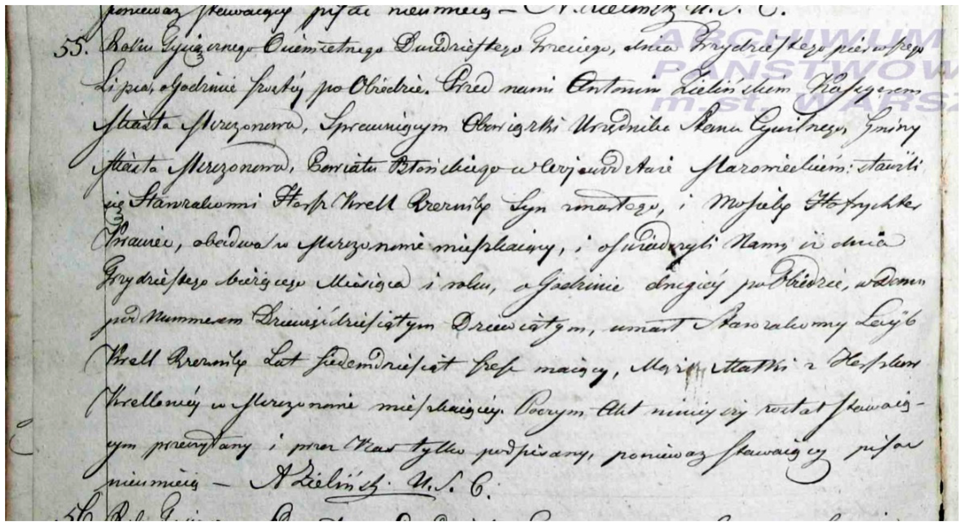 Genealogy 08 00035 g015