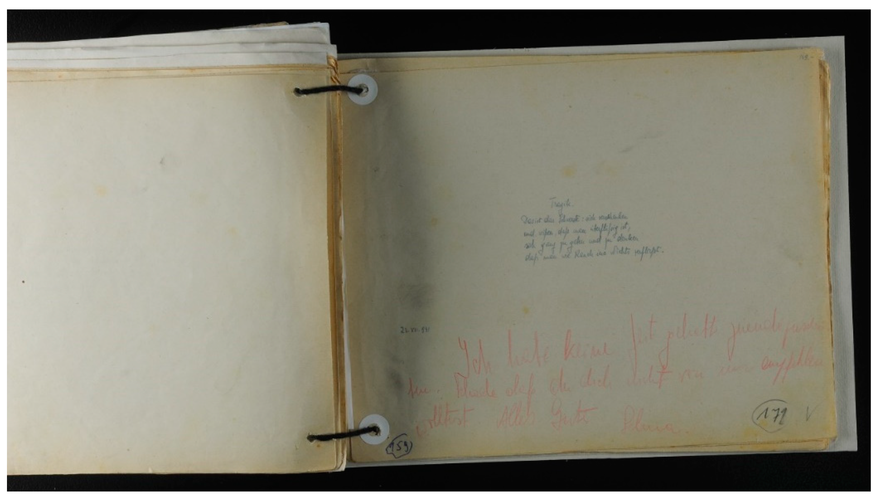 Genealogy 08 00053 g005