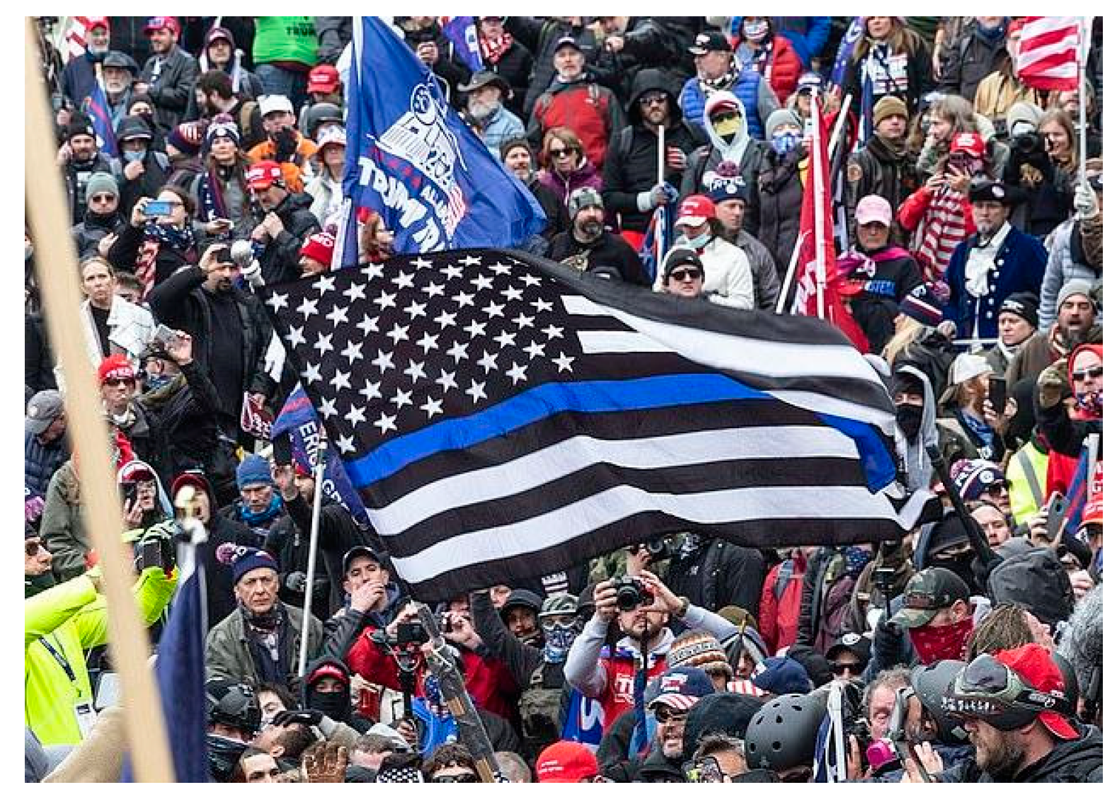 Genealogy 08 00058 g003