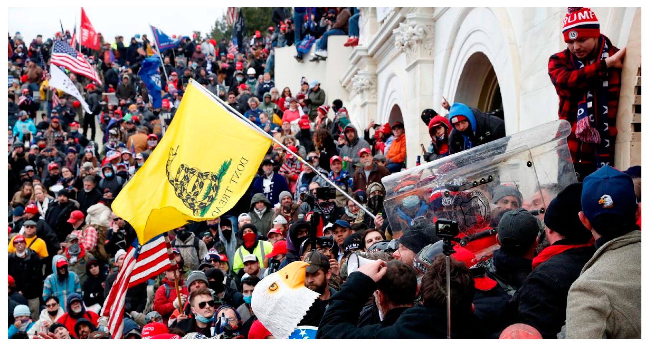 Genealogy 08 00058 g008