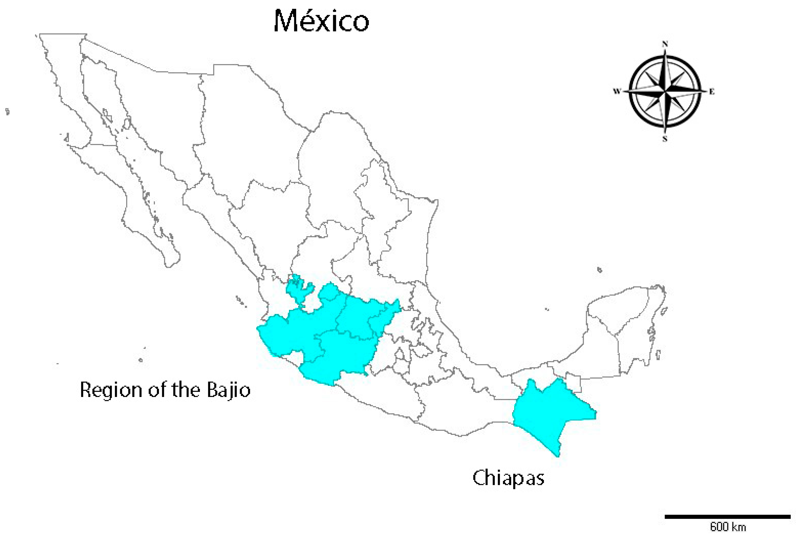 Genealogy 08 00072 g001