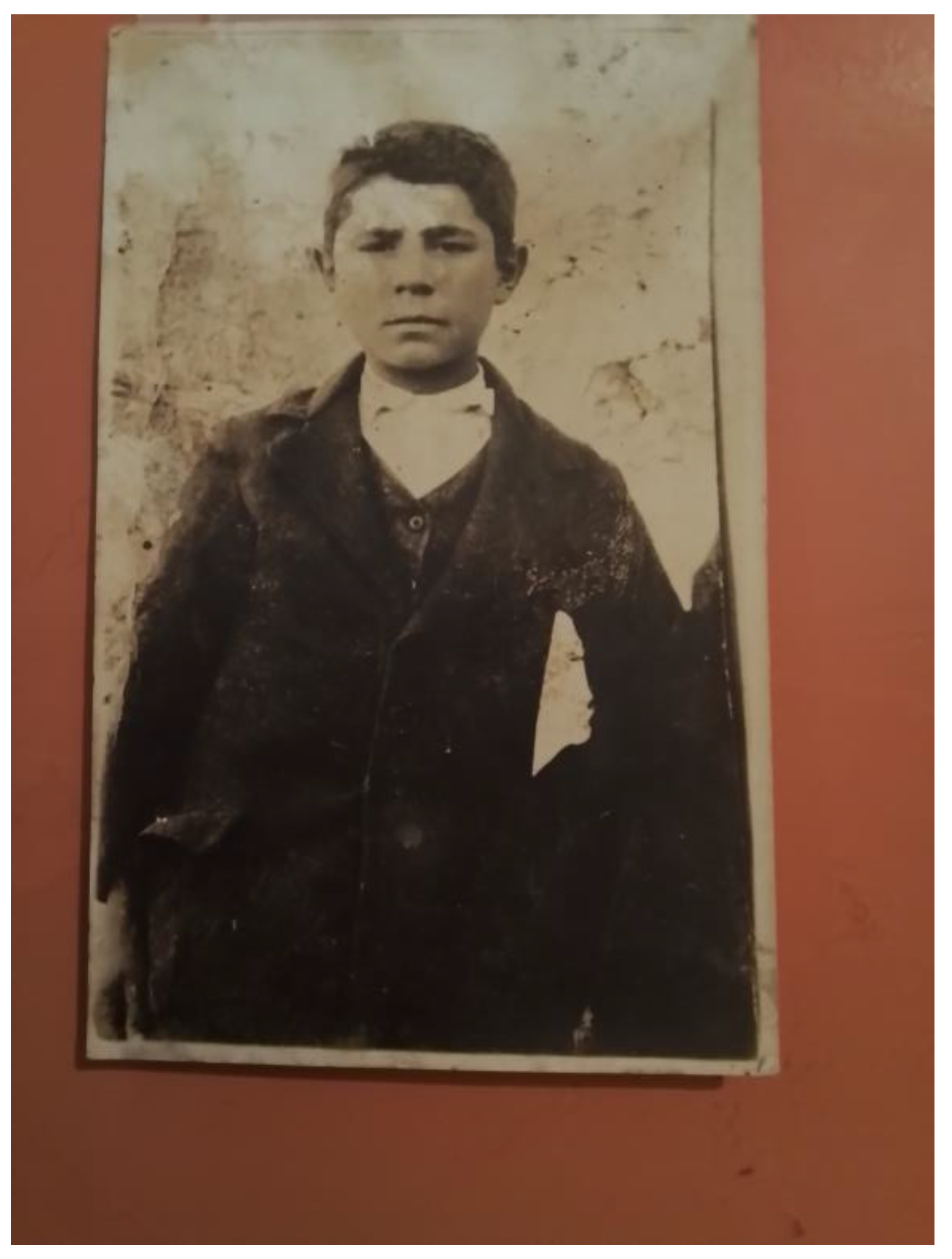 Genealogy 08 00113 g003 Genealogy 08 00113 g003