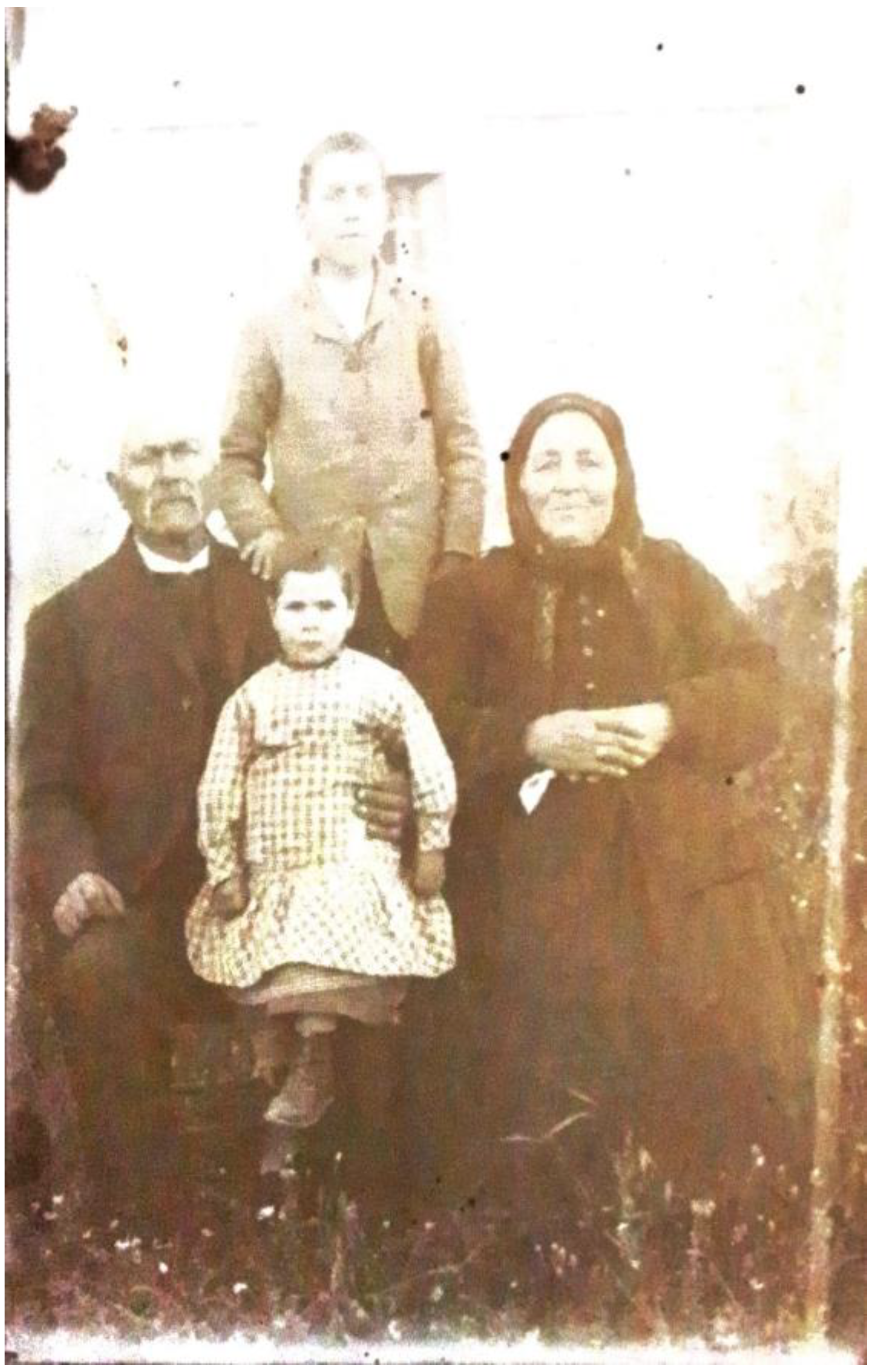 Genealogy 08 00113 g021 Genealogy 08 00113 g021