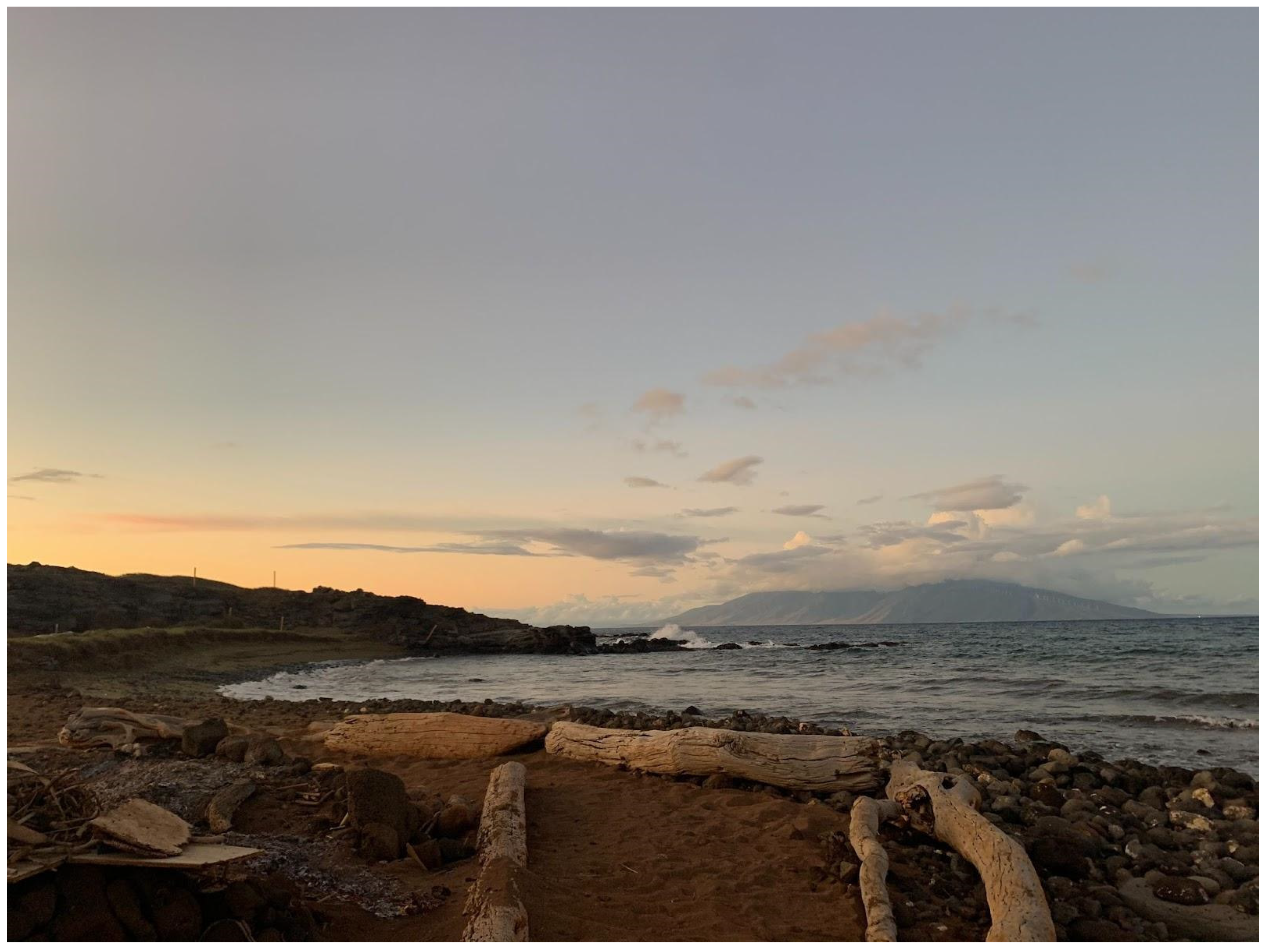 Genealogy 09 00002 g003