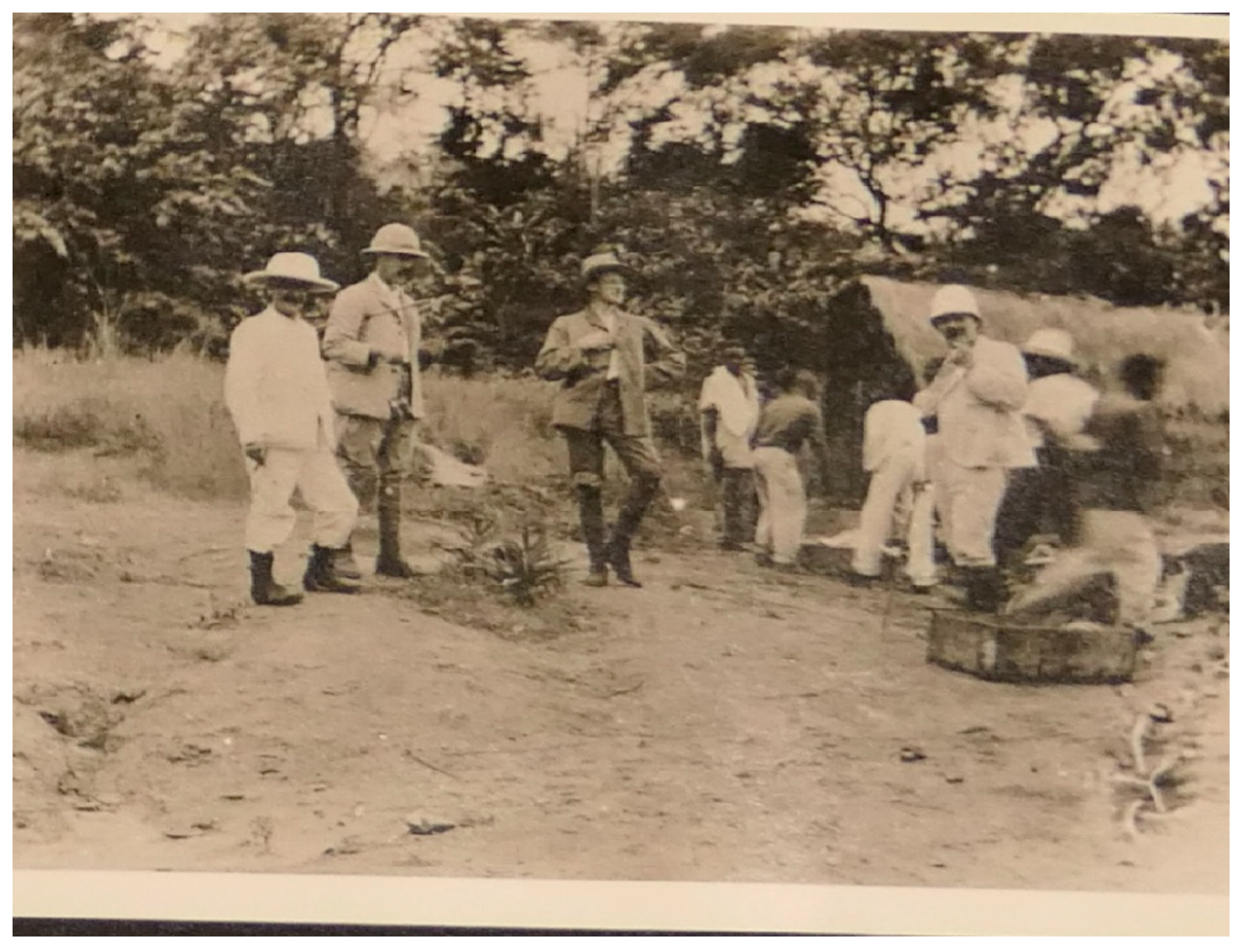 Genealogy 09 00010 g001