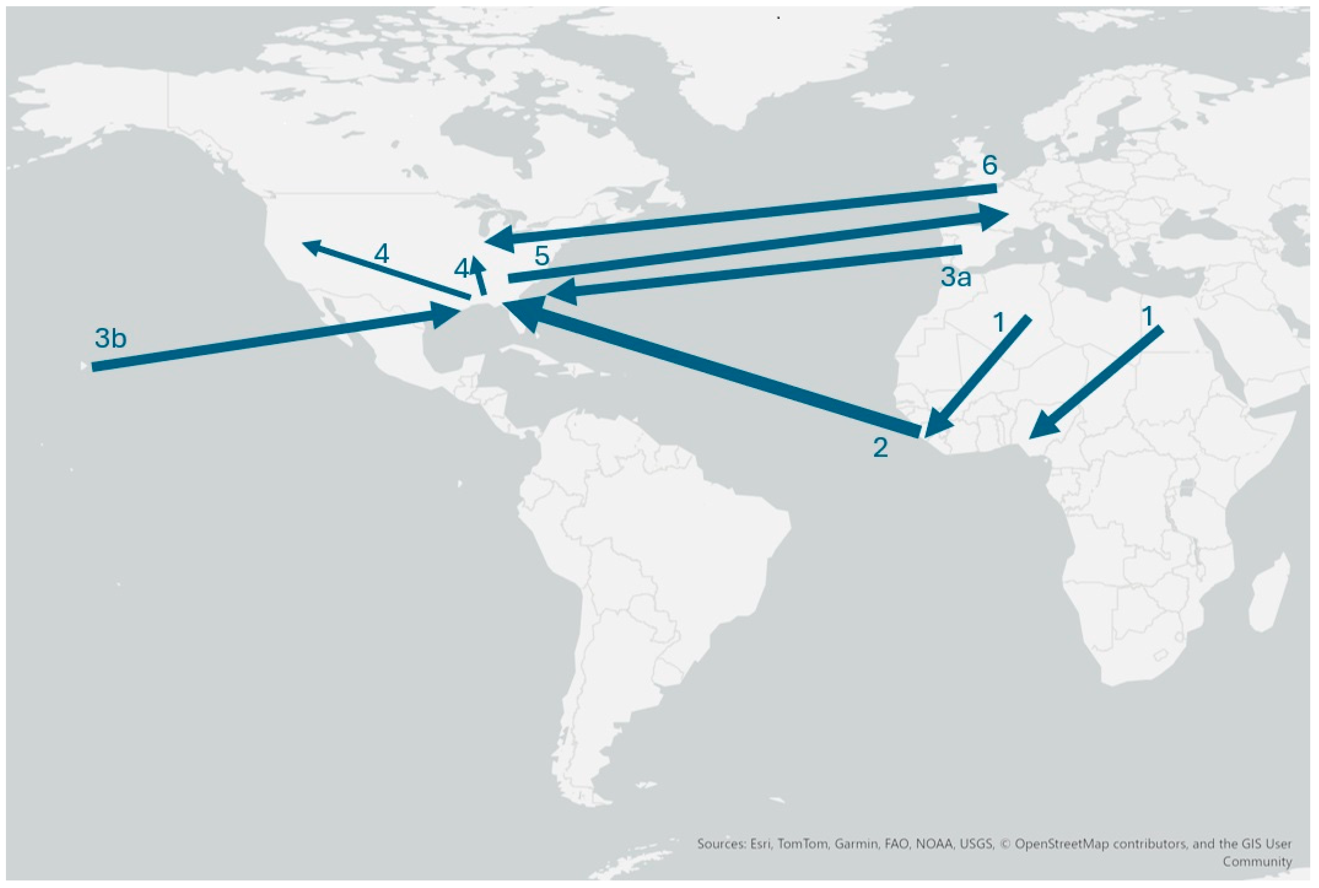 Genealogy 09 00014 g002