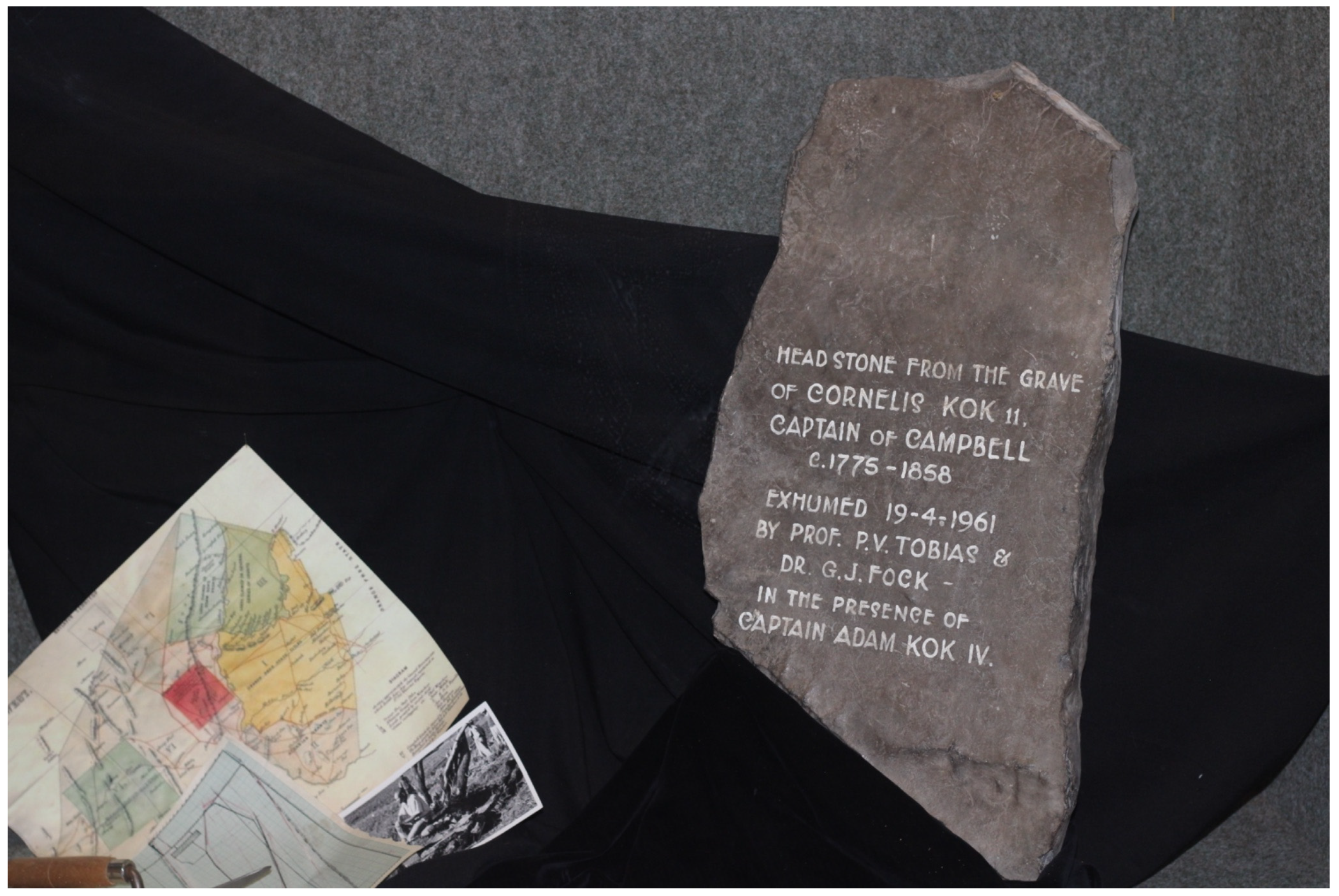 Genealogy 09 00067 g003