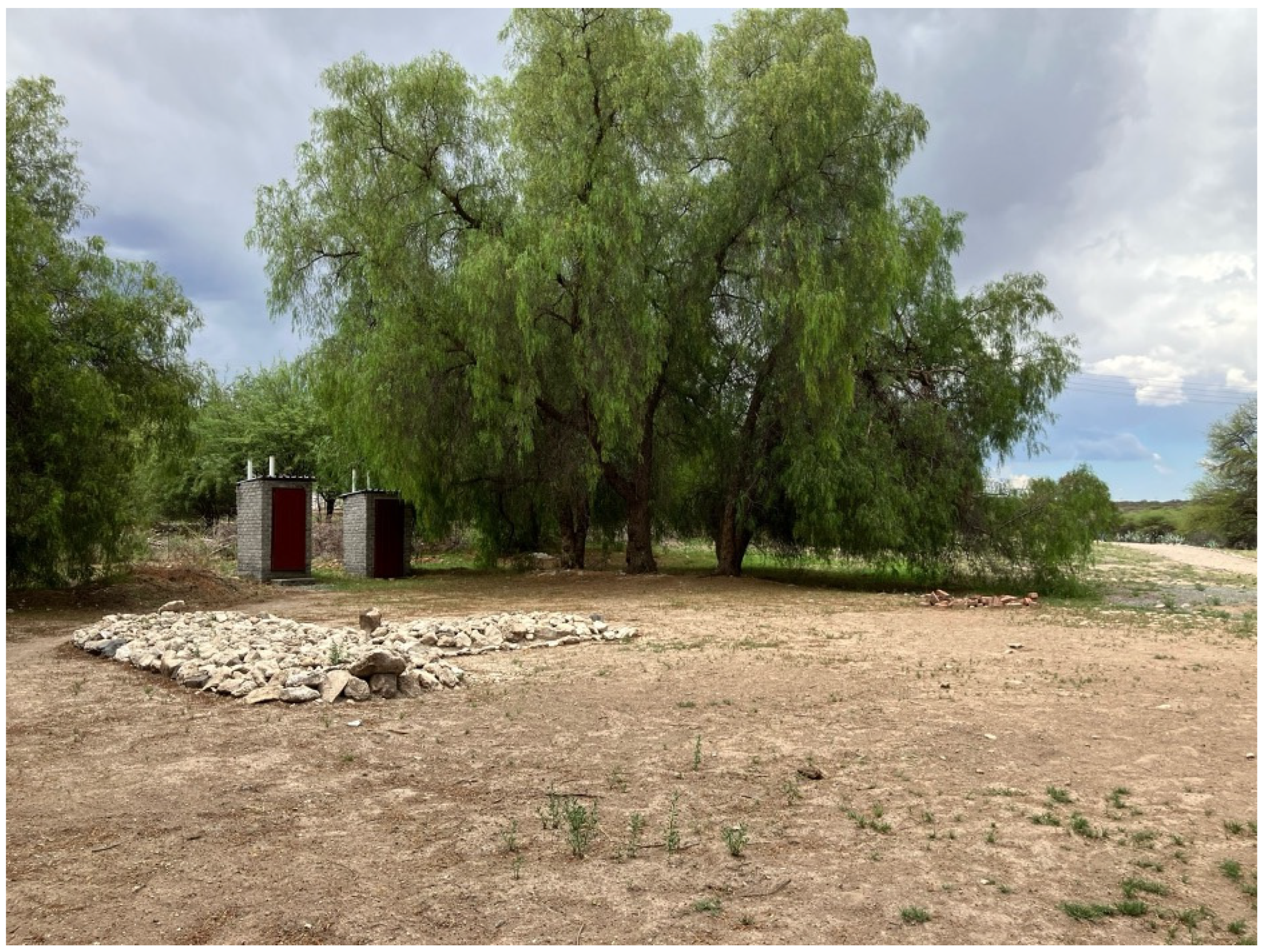 Genealogy 09 00067 g004