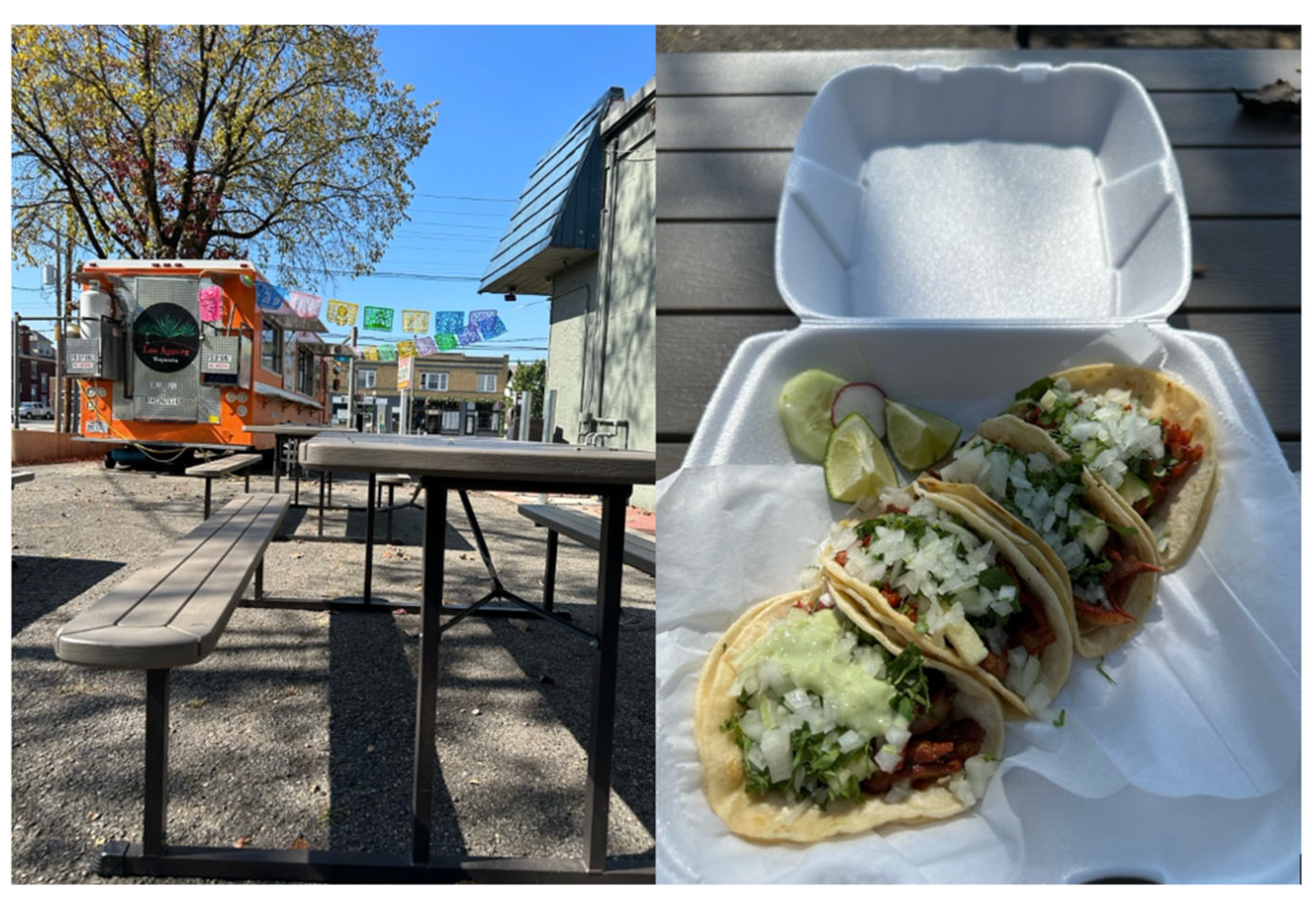 Genealogy 09 00092 g002